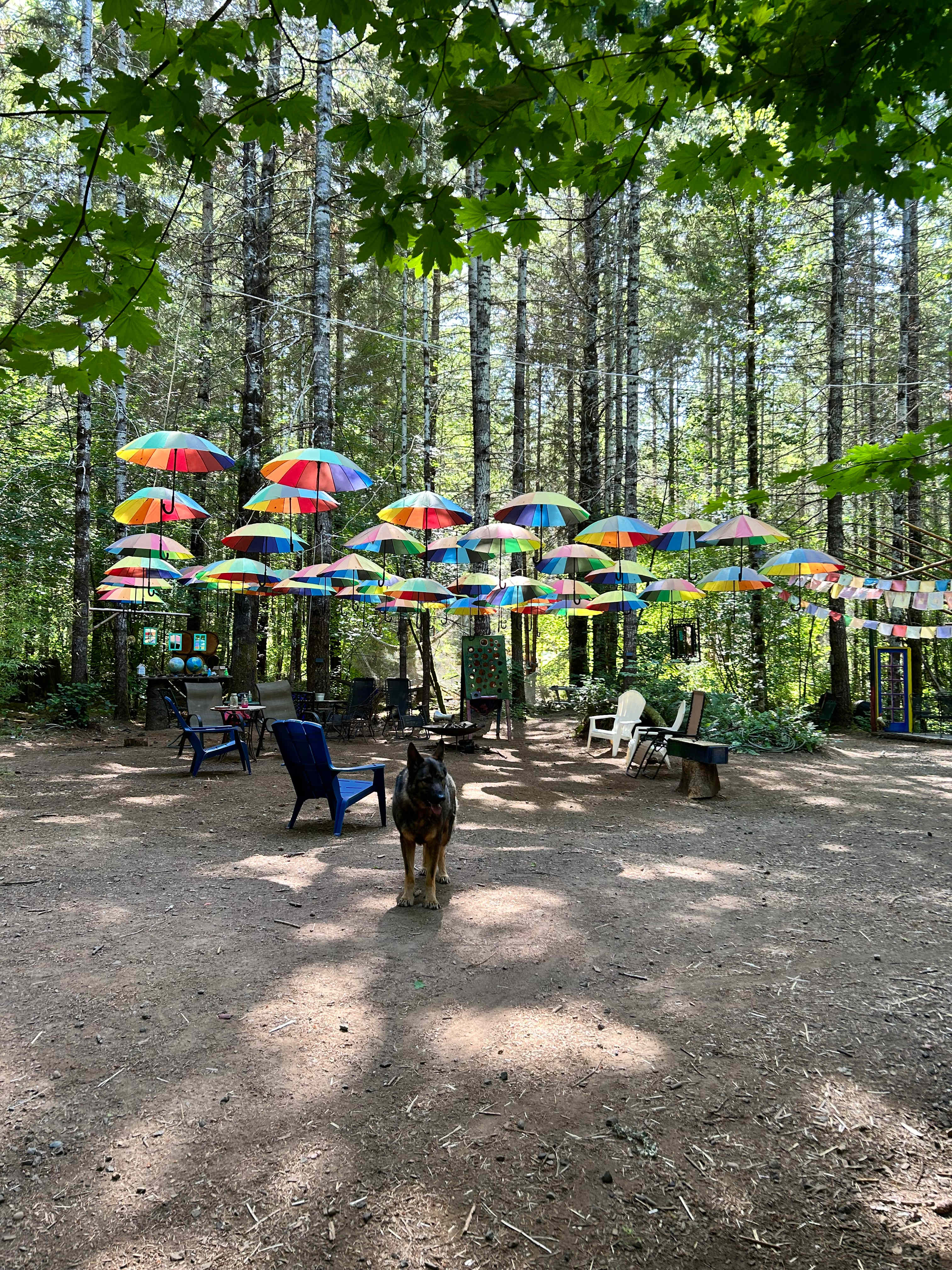 Elfendahl Forest