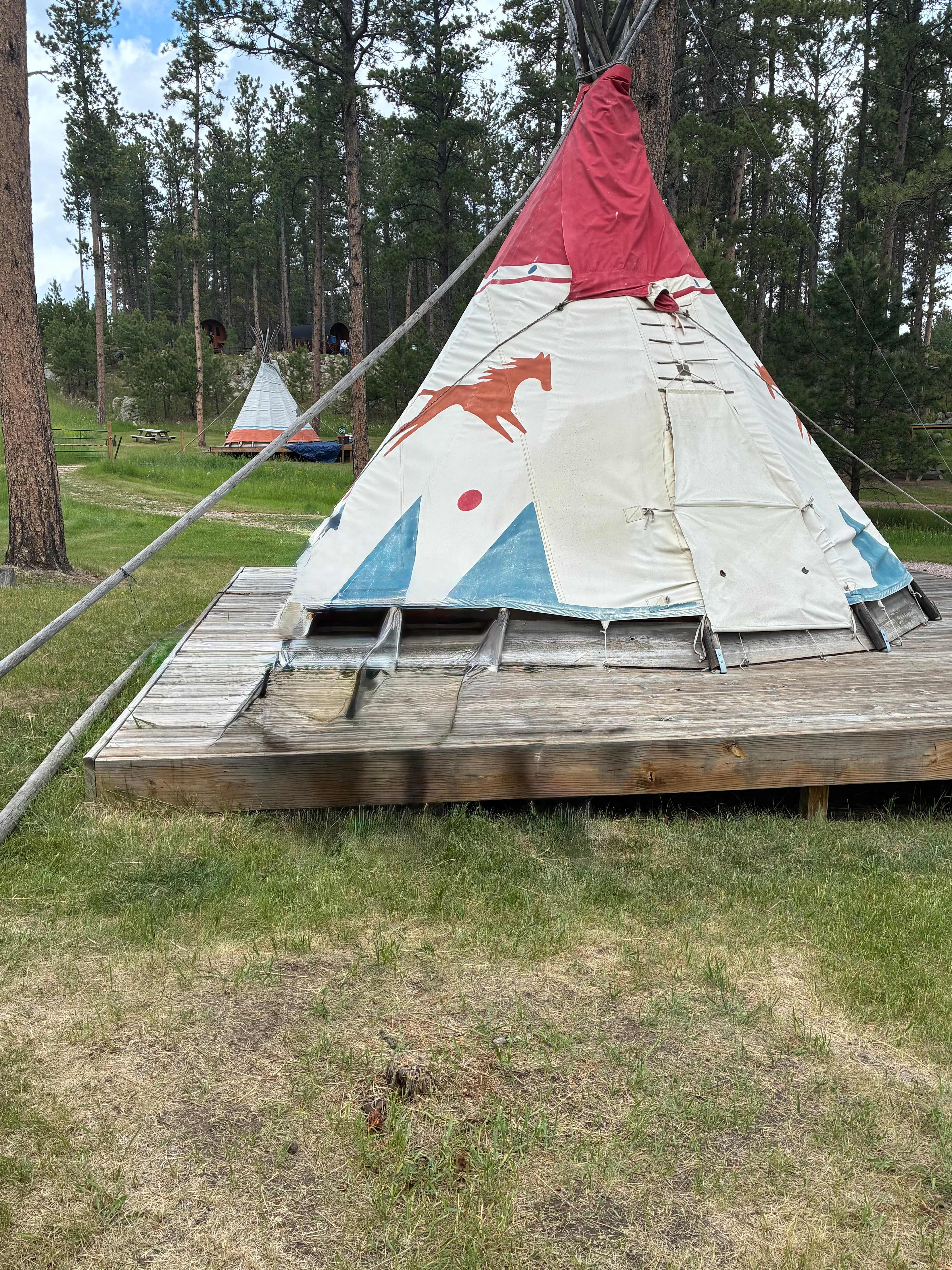 Picture of the site