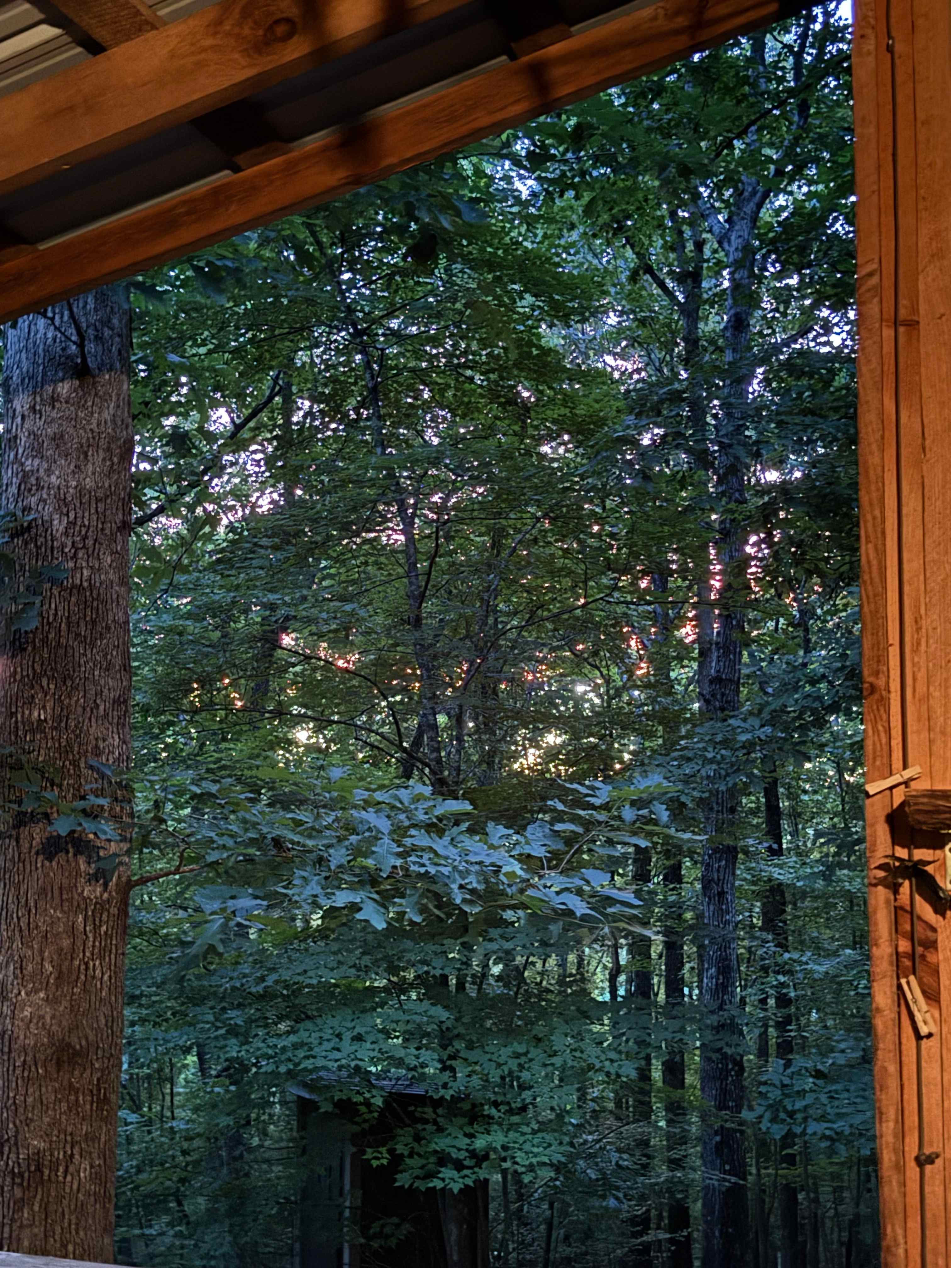 Your Toccoa River Cove!