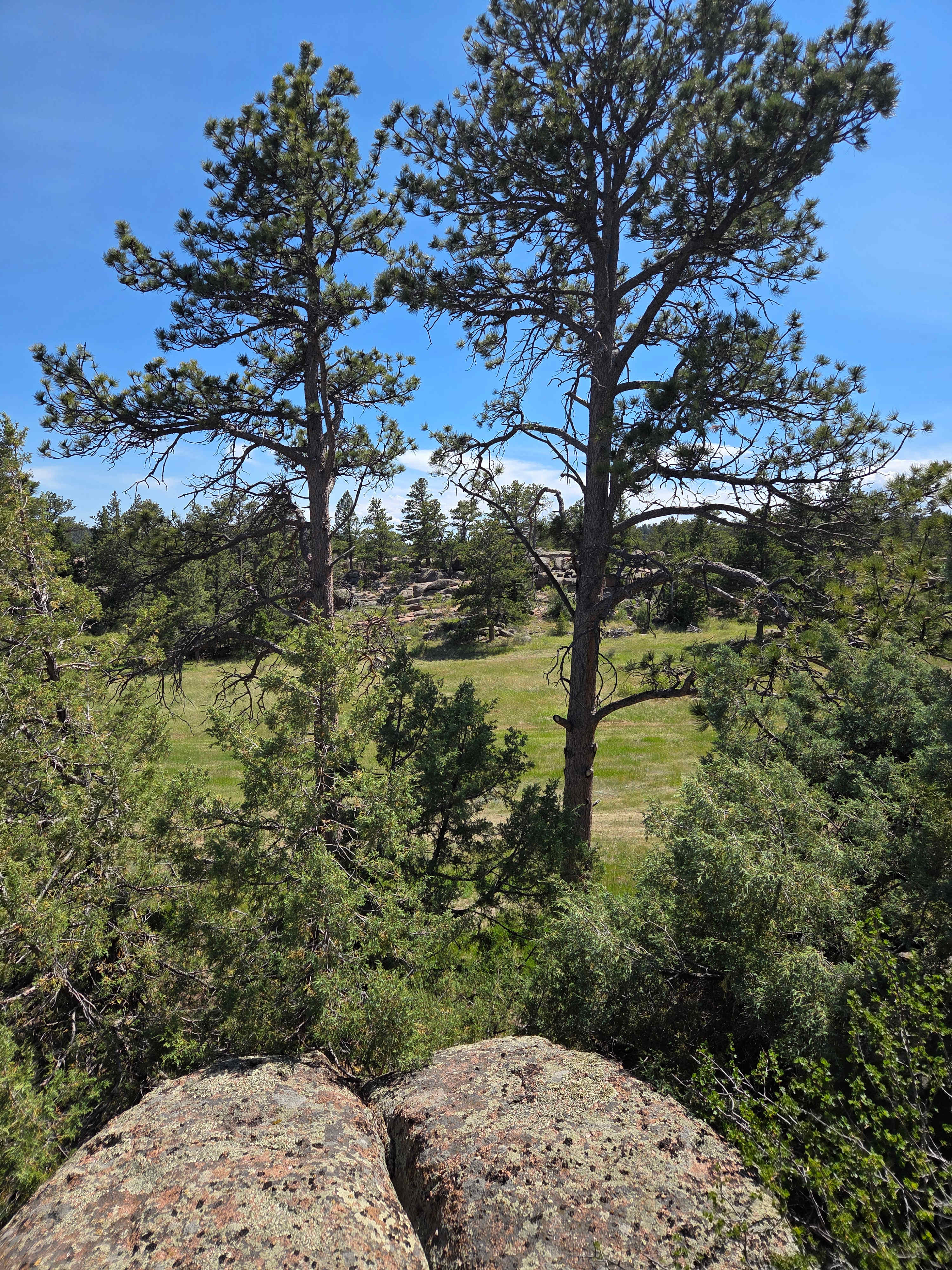 Camp Overland