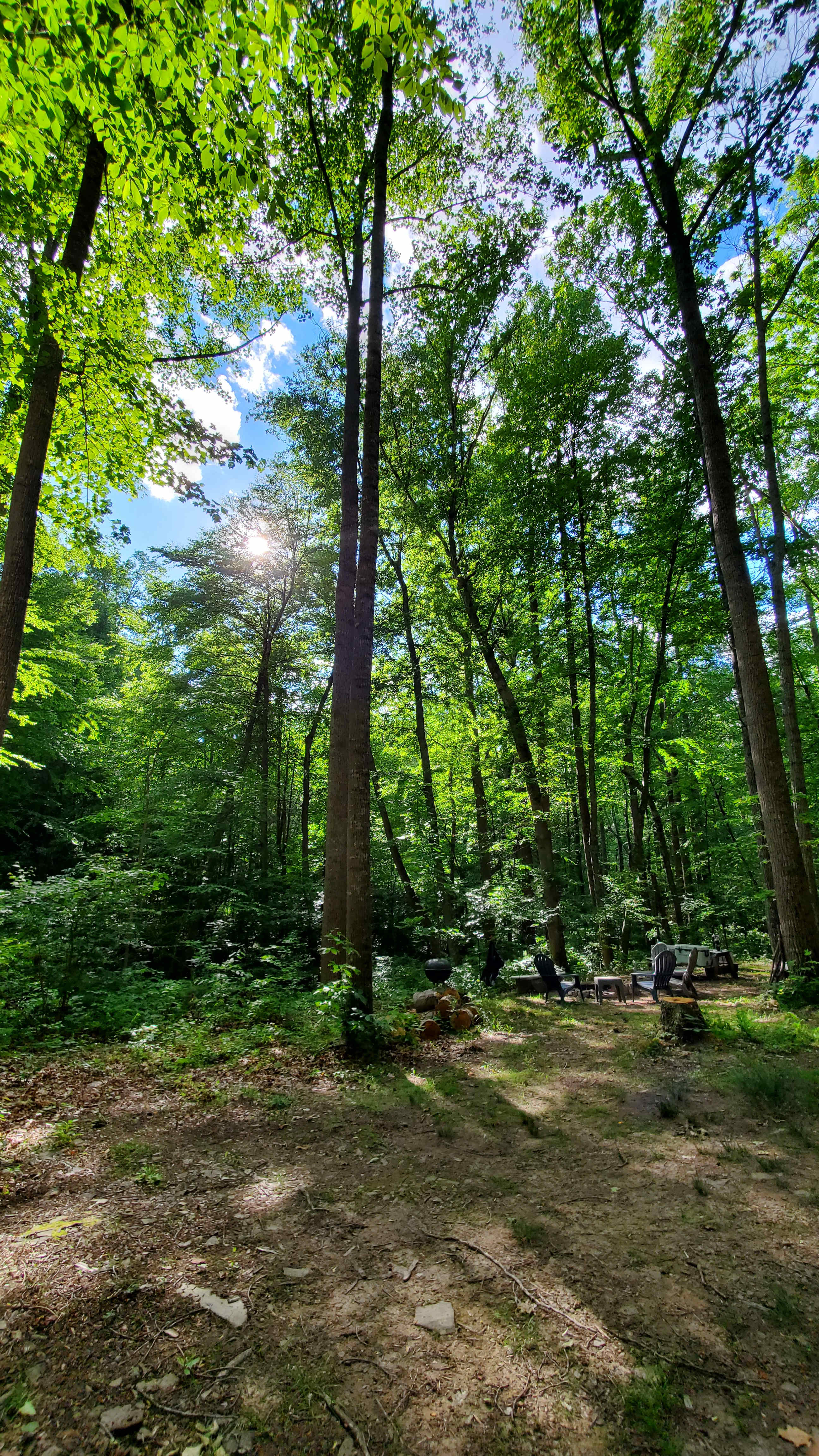 Bear Creek Clothing Optional Camp