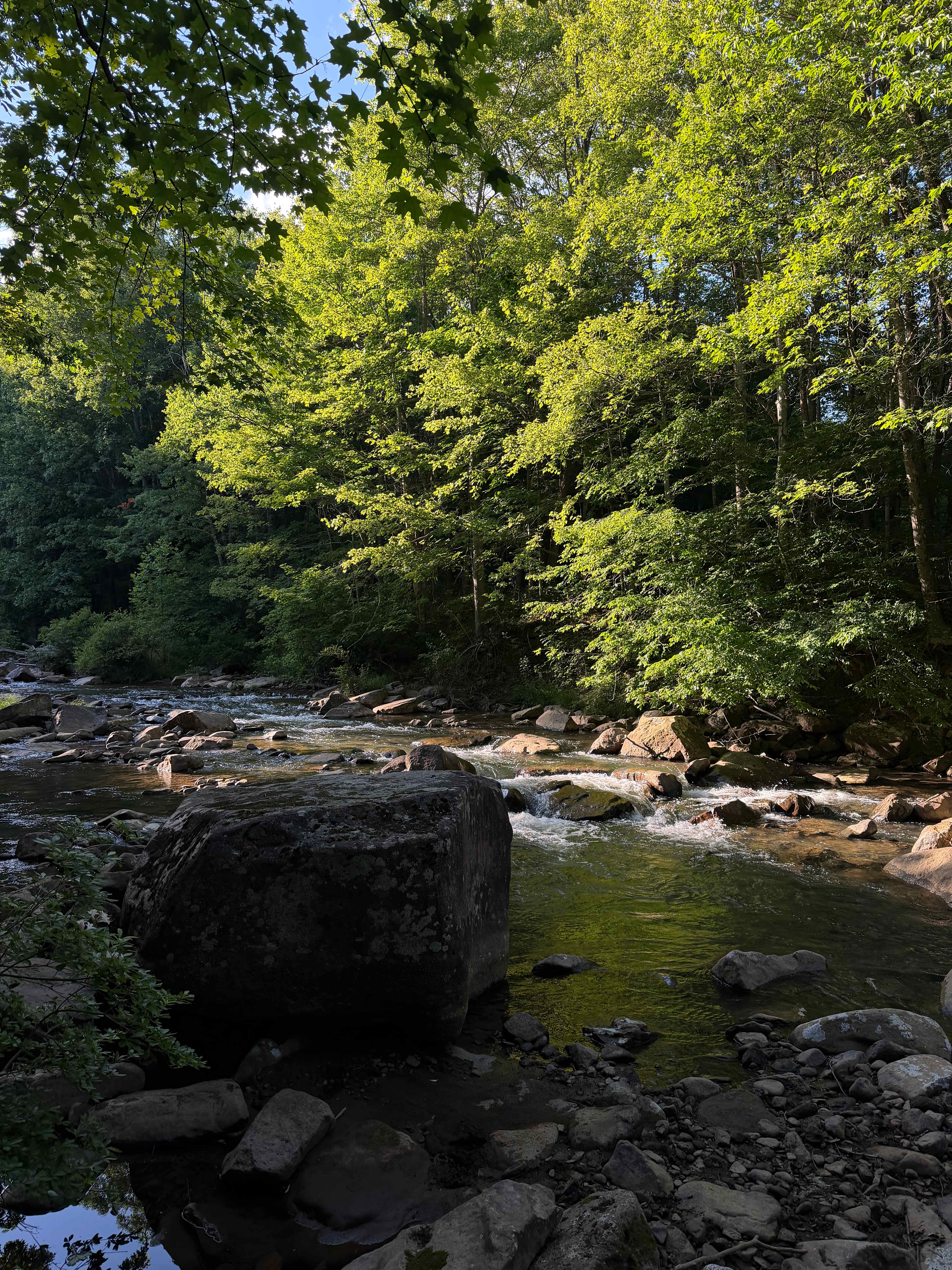 Abrams Creek Campground/Retreat