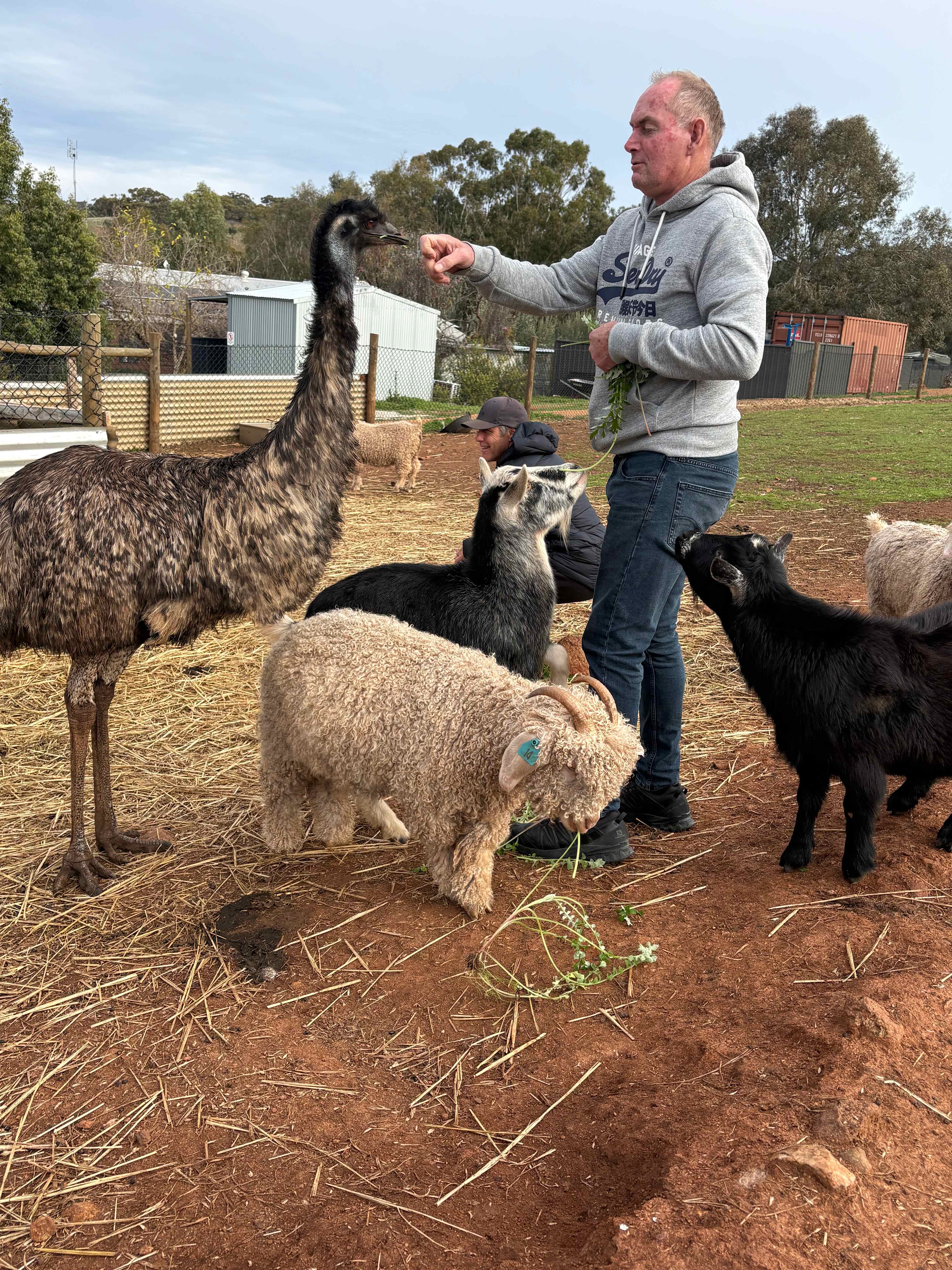 Sandalwood Downs  Farm Stay Toodyay