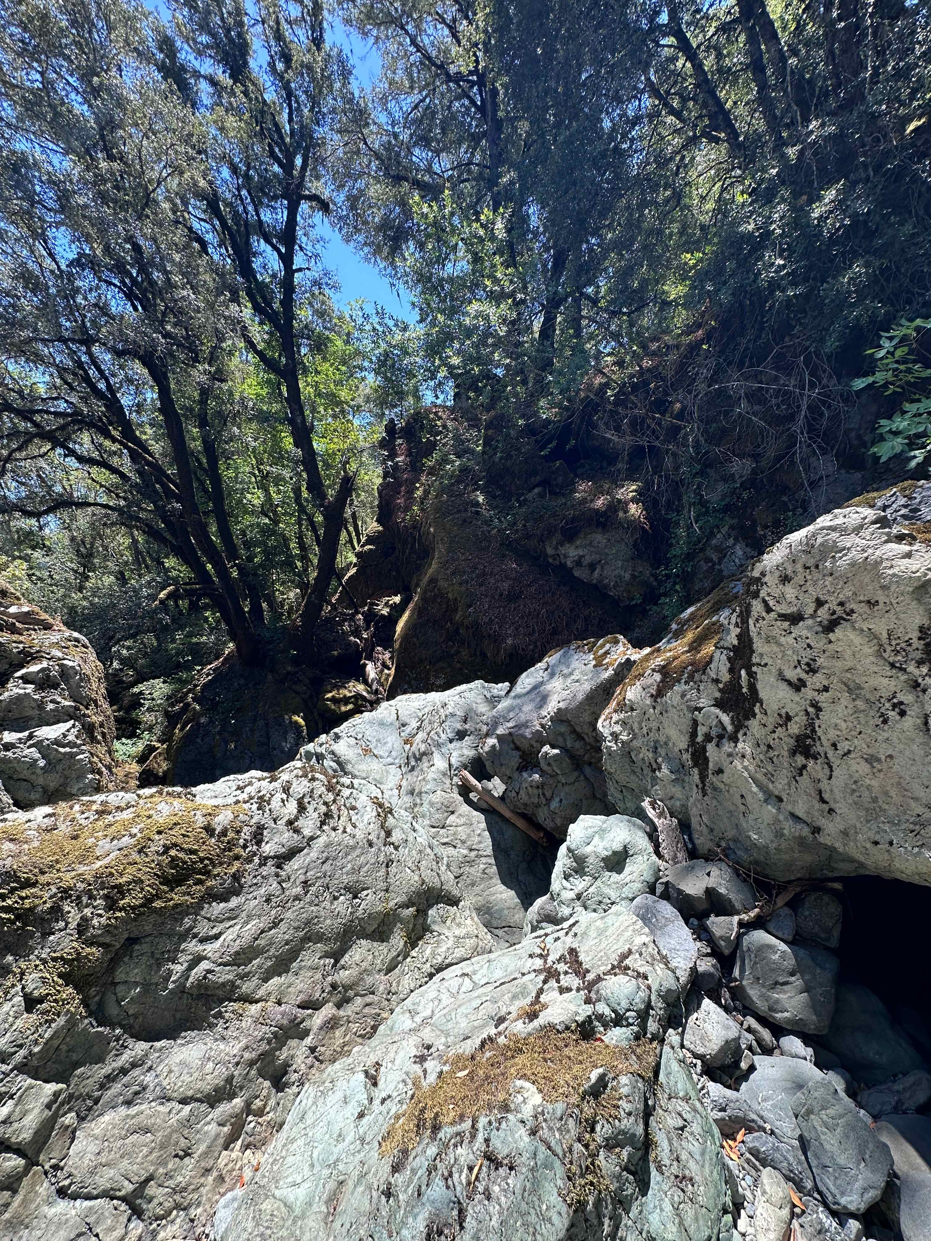 Hike to the cake
