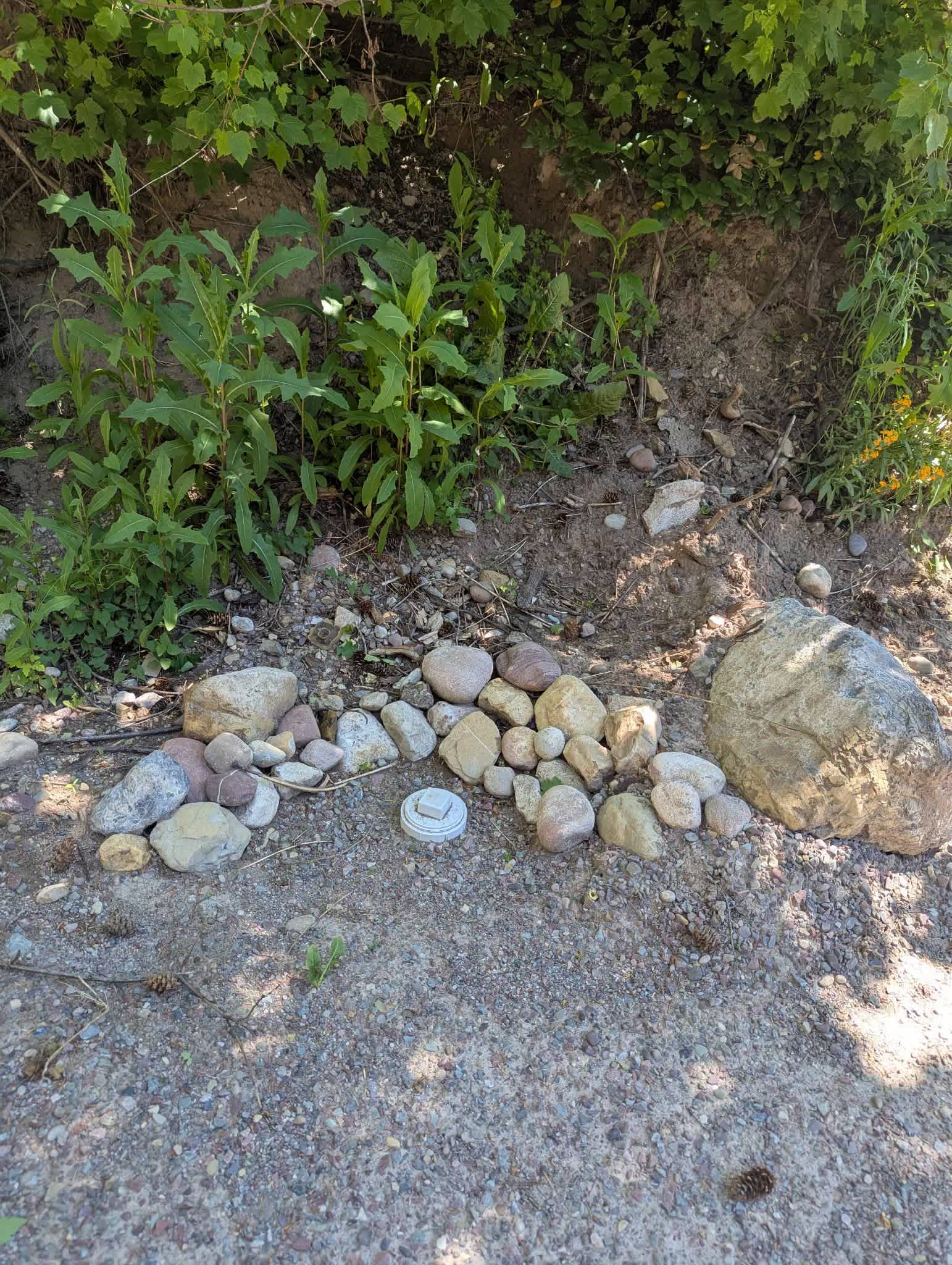 Picture of the site