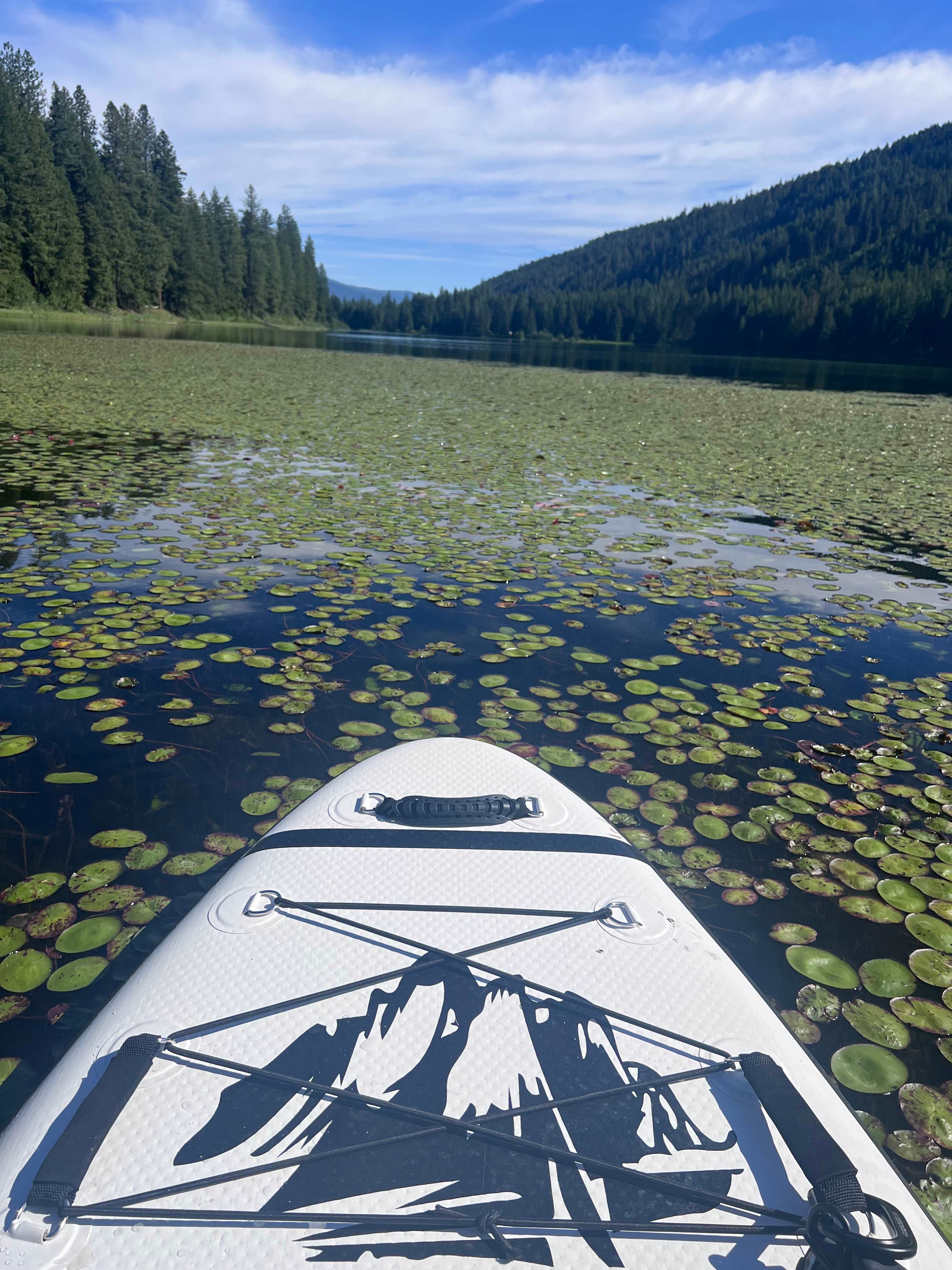 Paradise on Mirror Lake