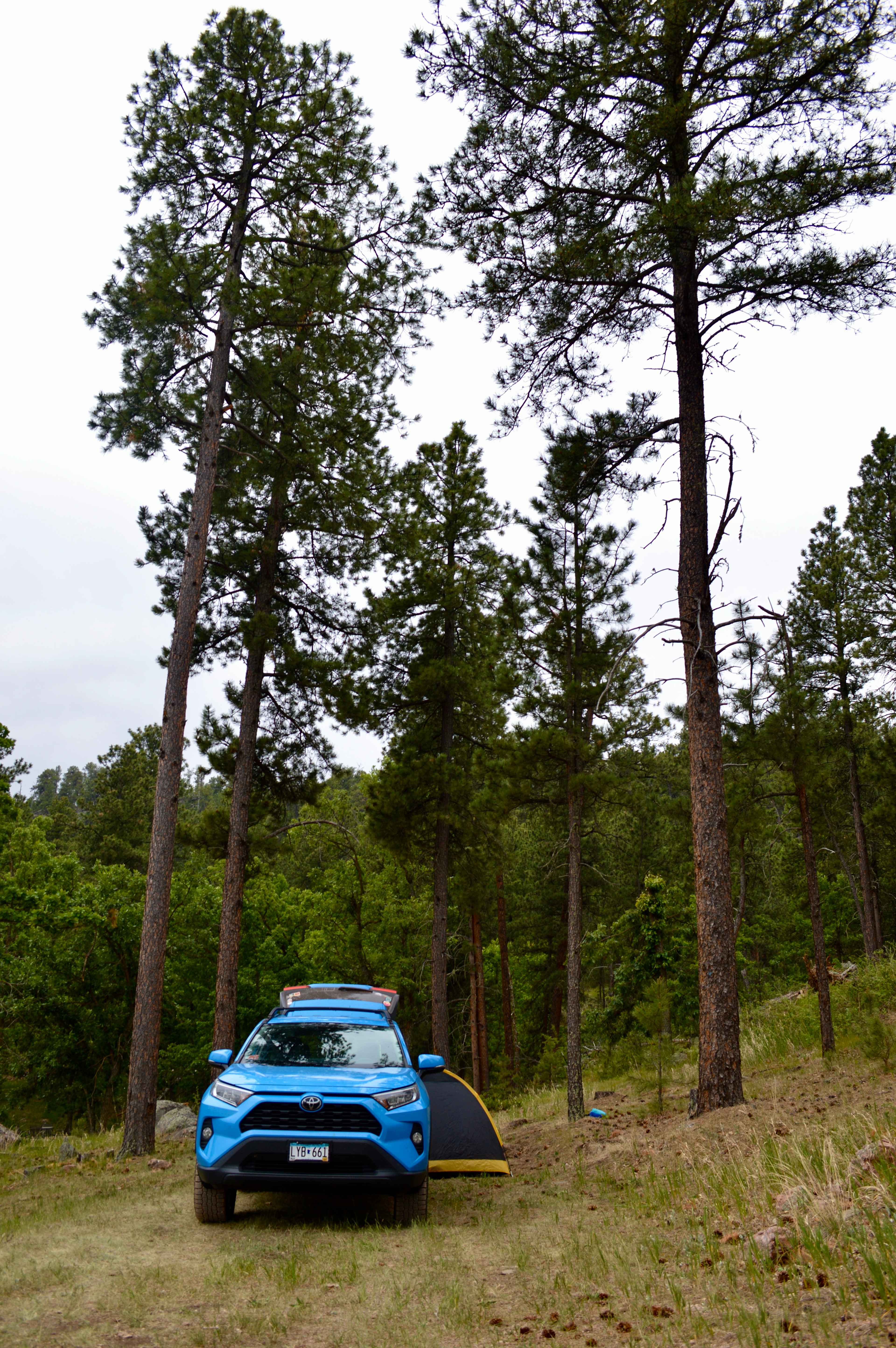 Cloud Nine Camping