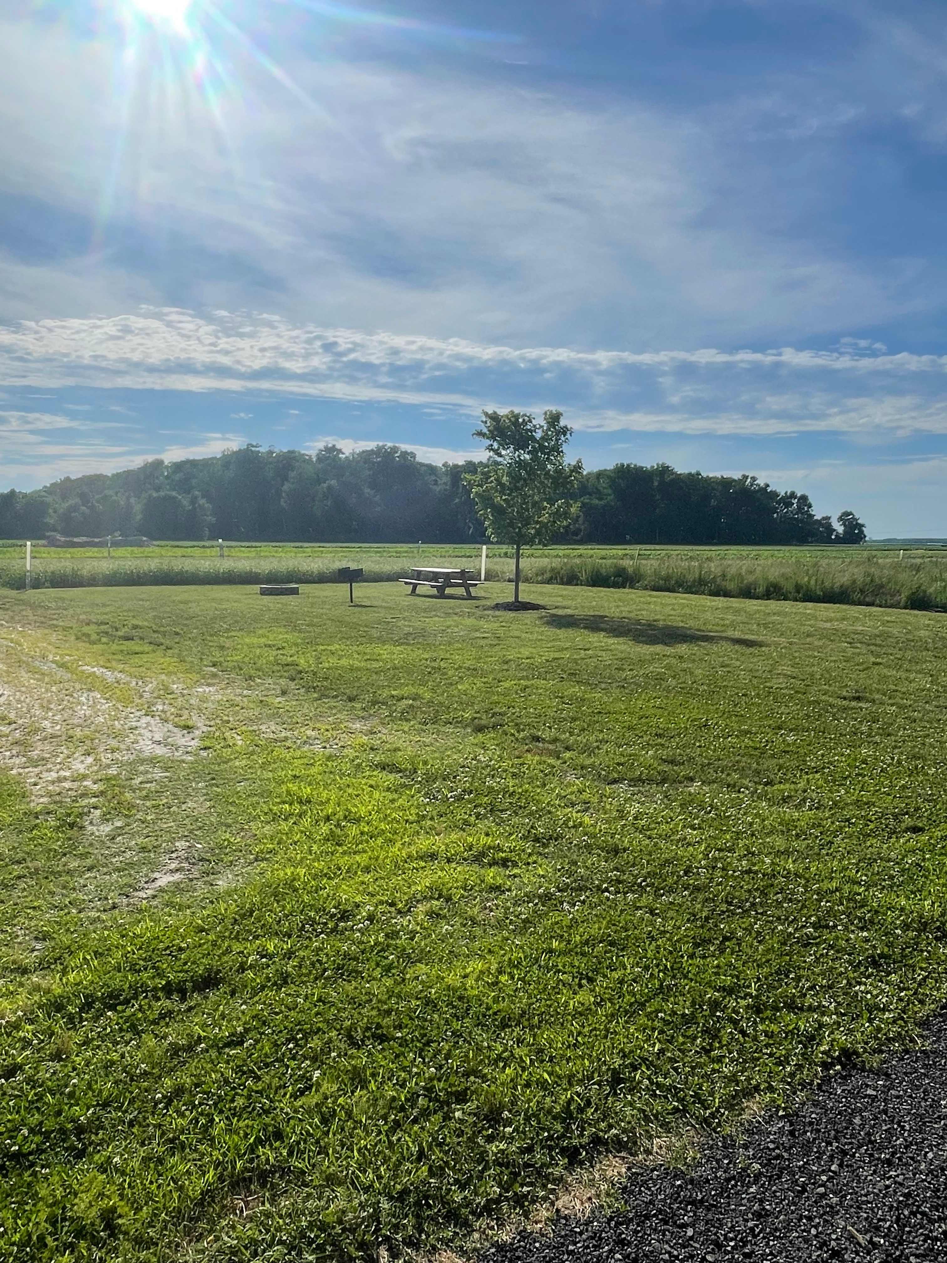 Kingsley Orchards, LLC