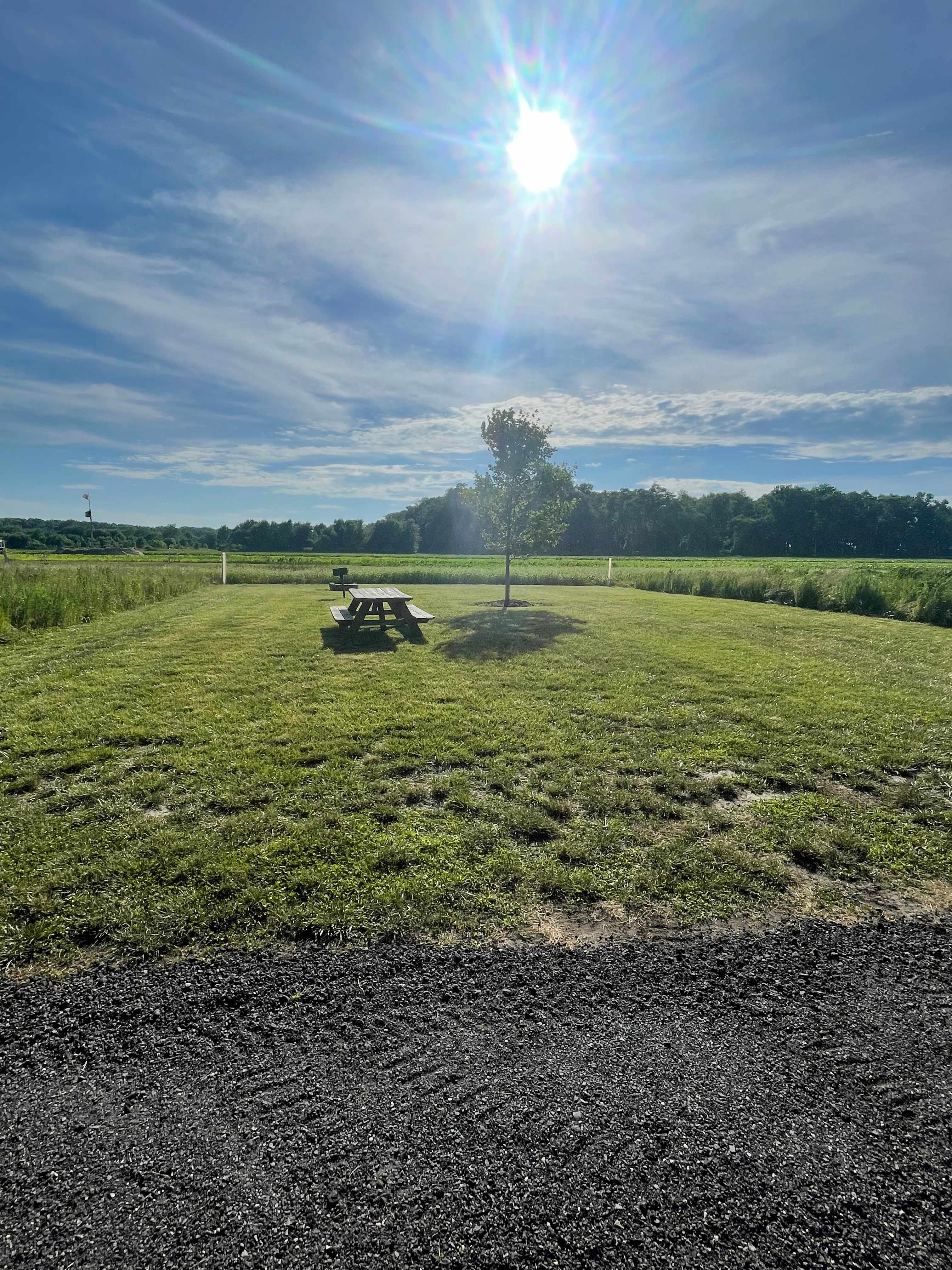 Kingsley Orchards, LLC