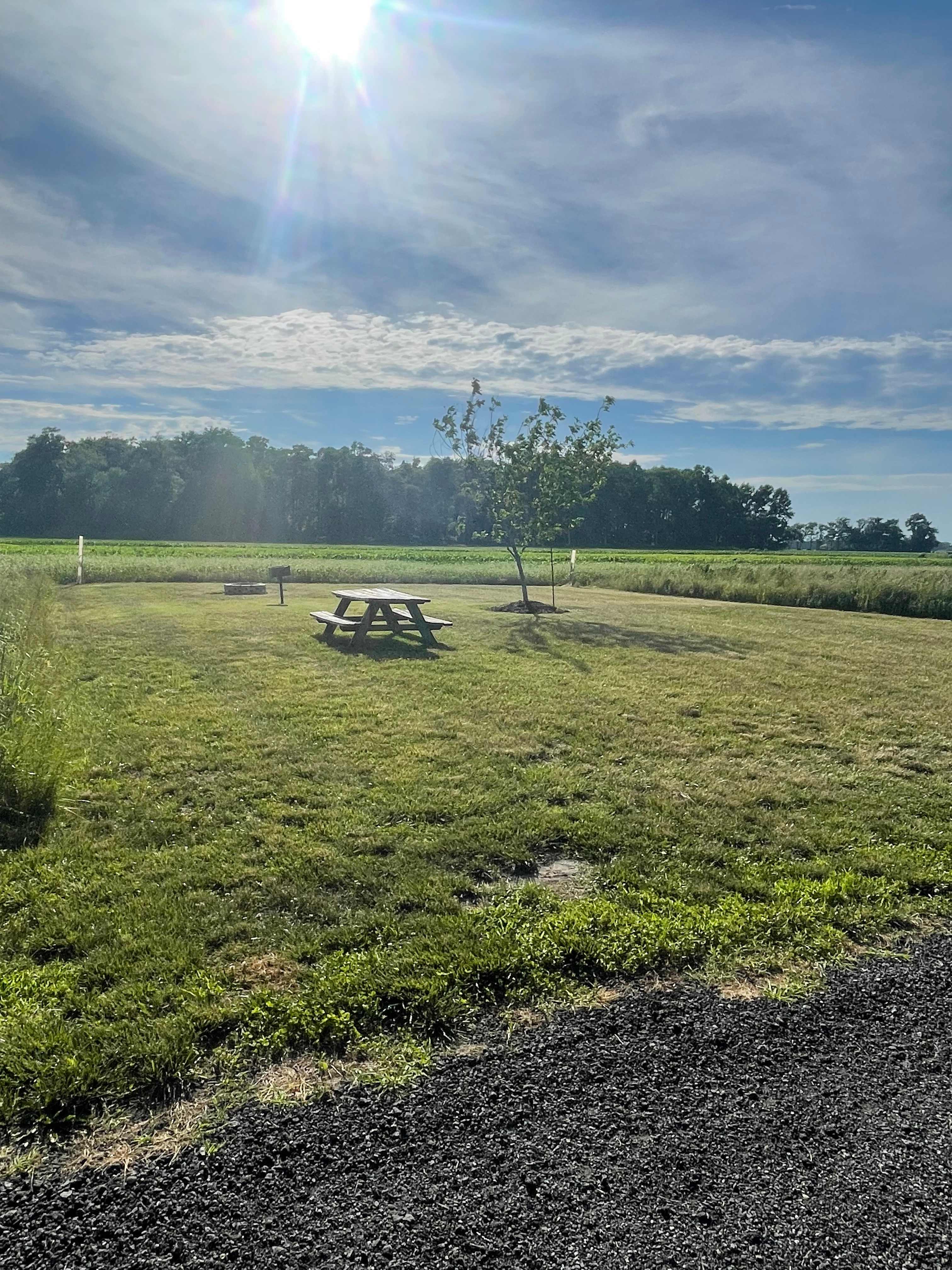 Picture of the site