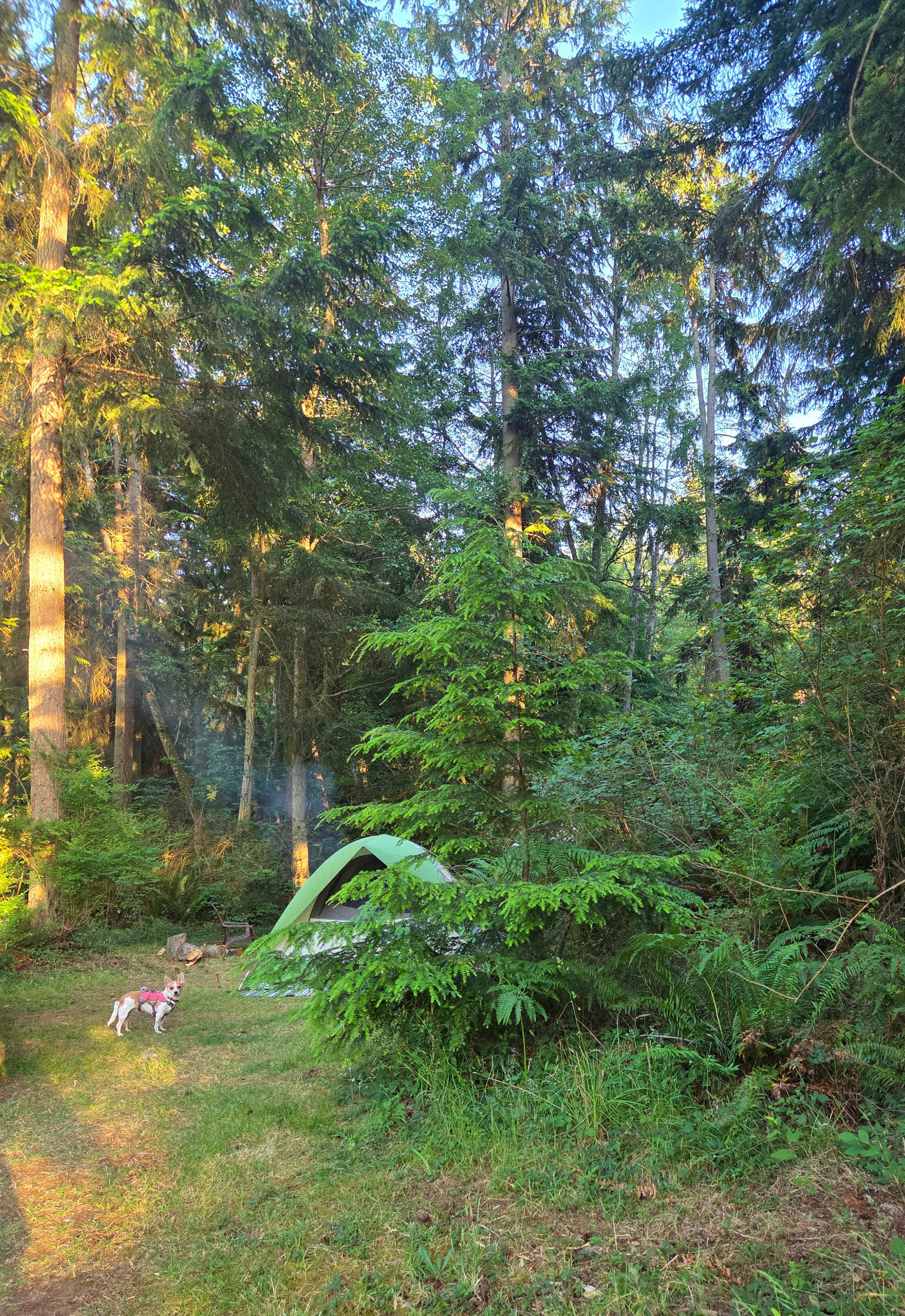 Fern Gully Camp
