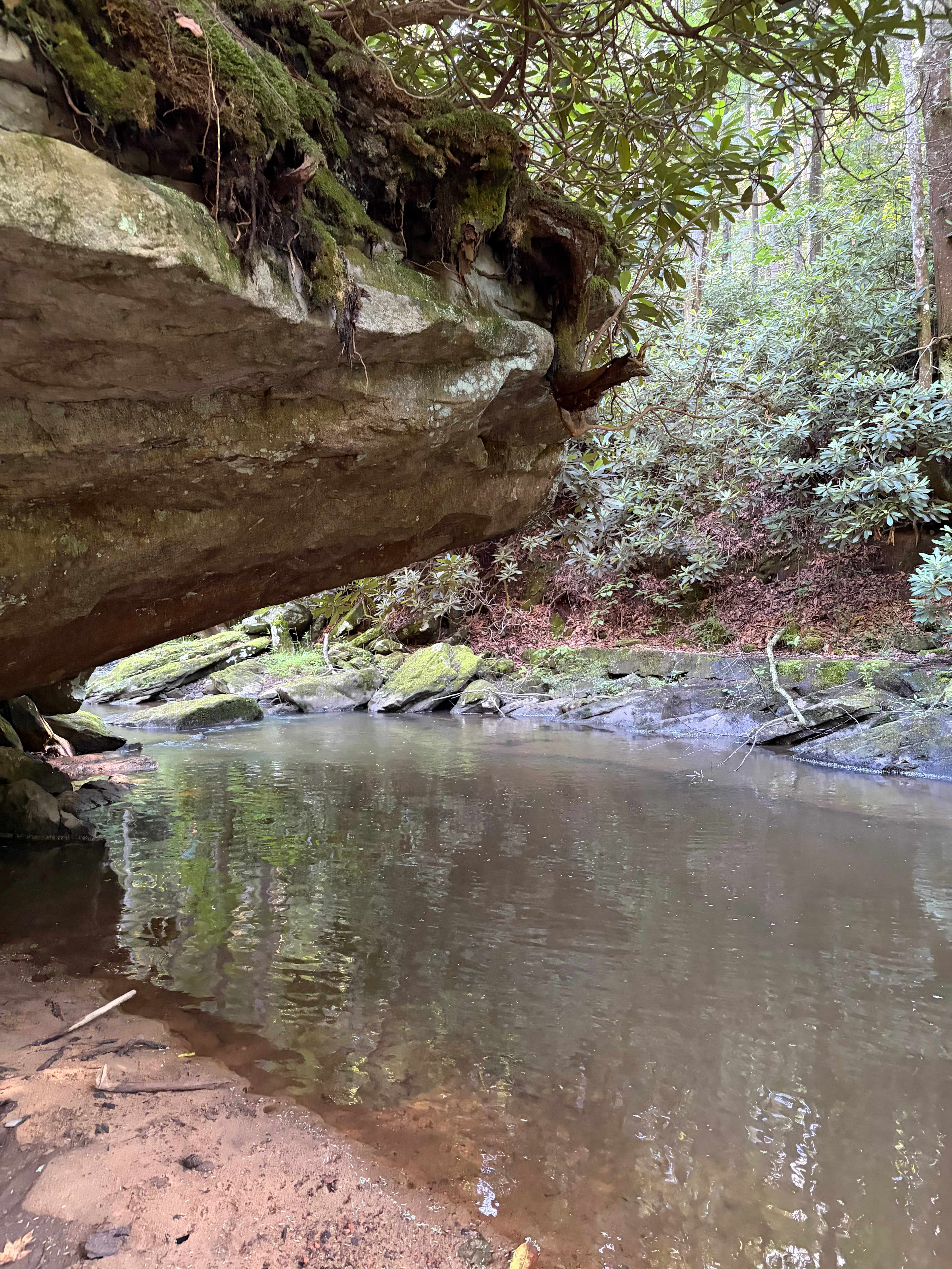 Possum Holler Camp- New River Gorge