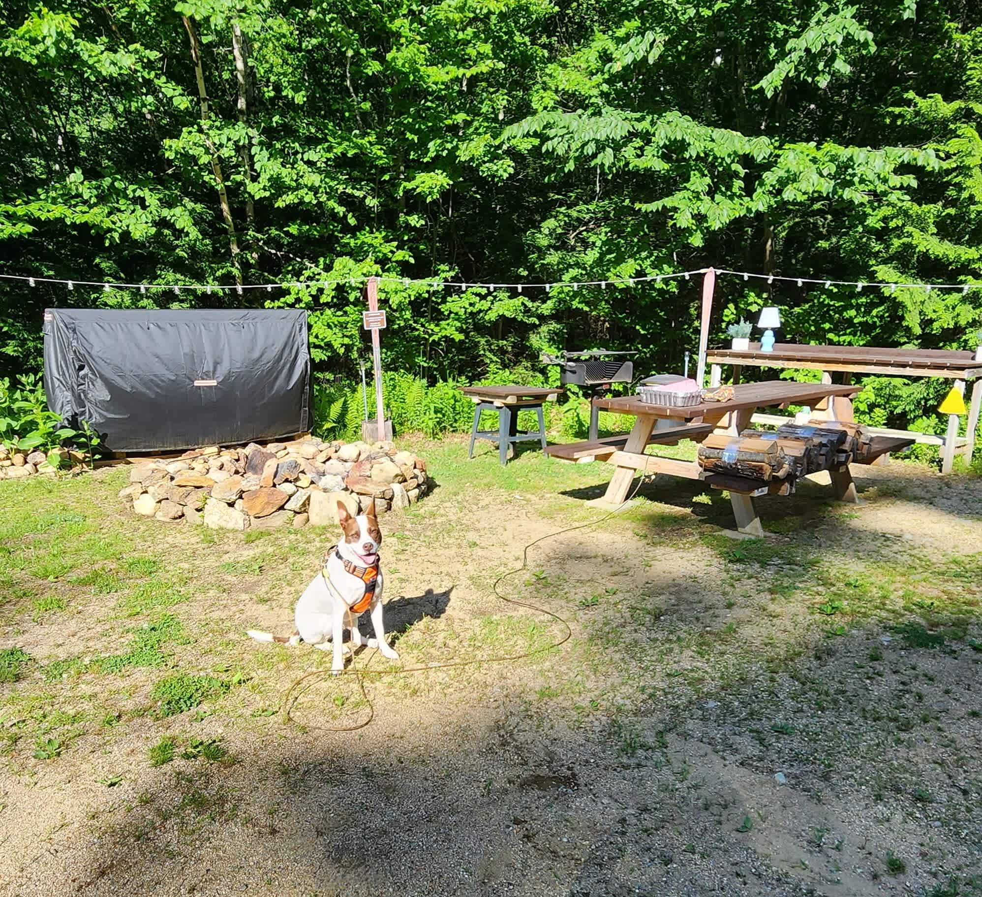 Base camp hangs! 