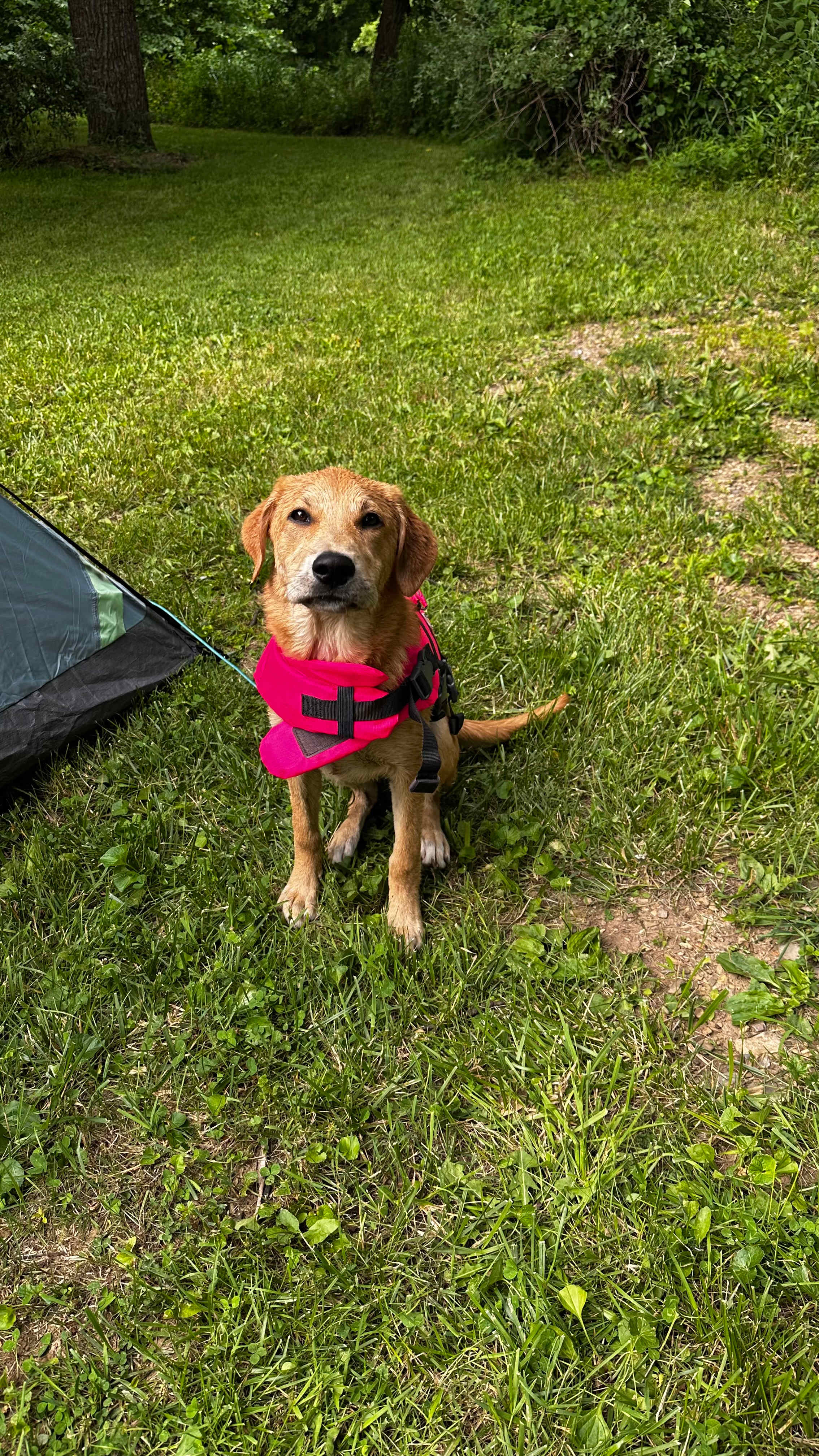 Zeke's Town Creek Retreat Camp/Swim