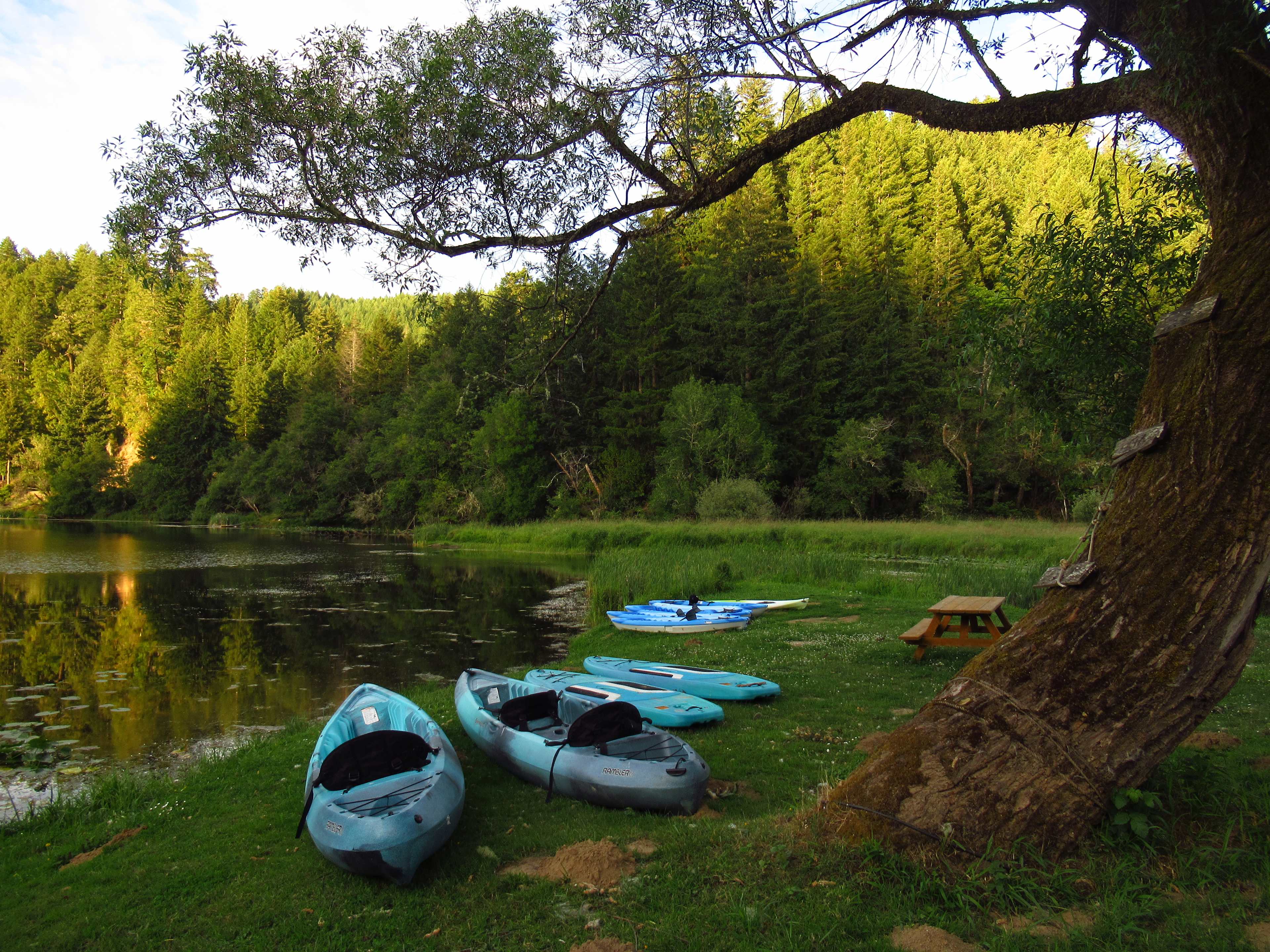 The Park at Loon Lake