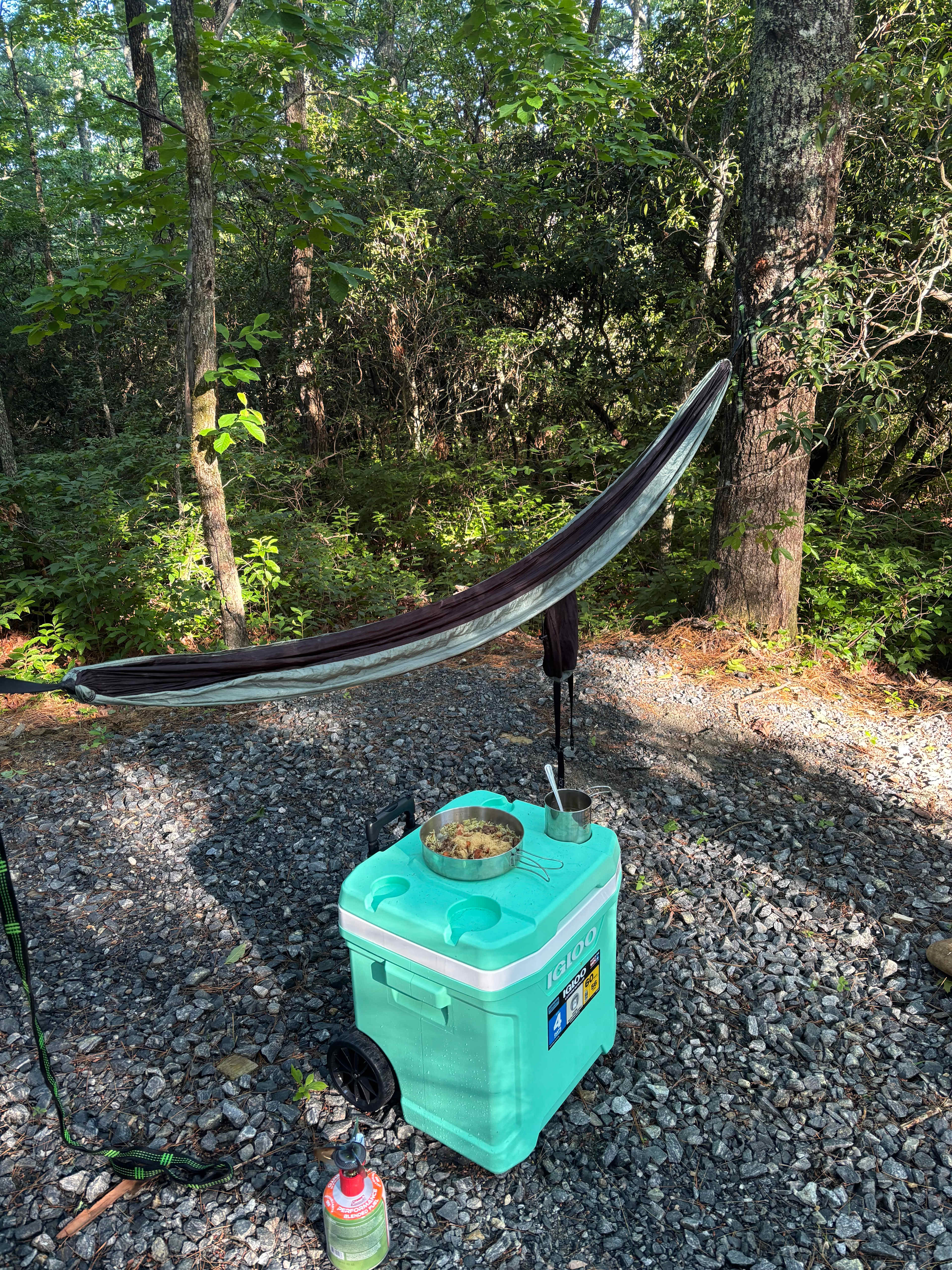 Cedar Ridge Base Camp