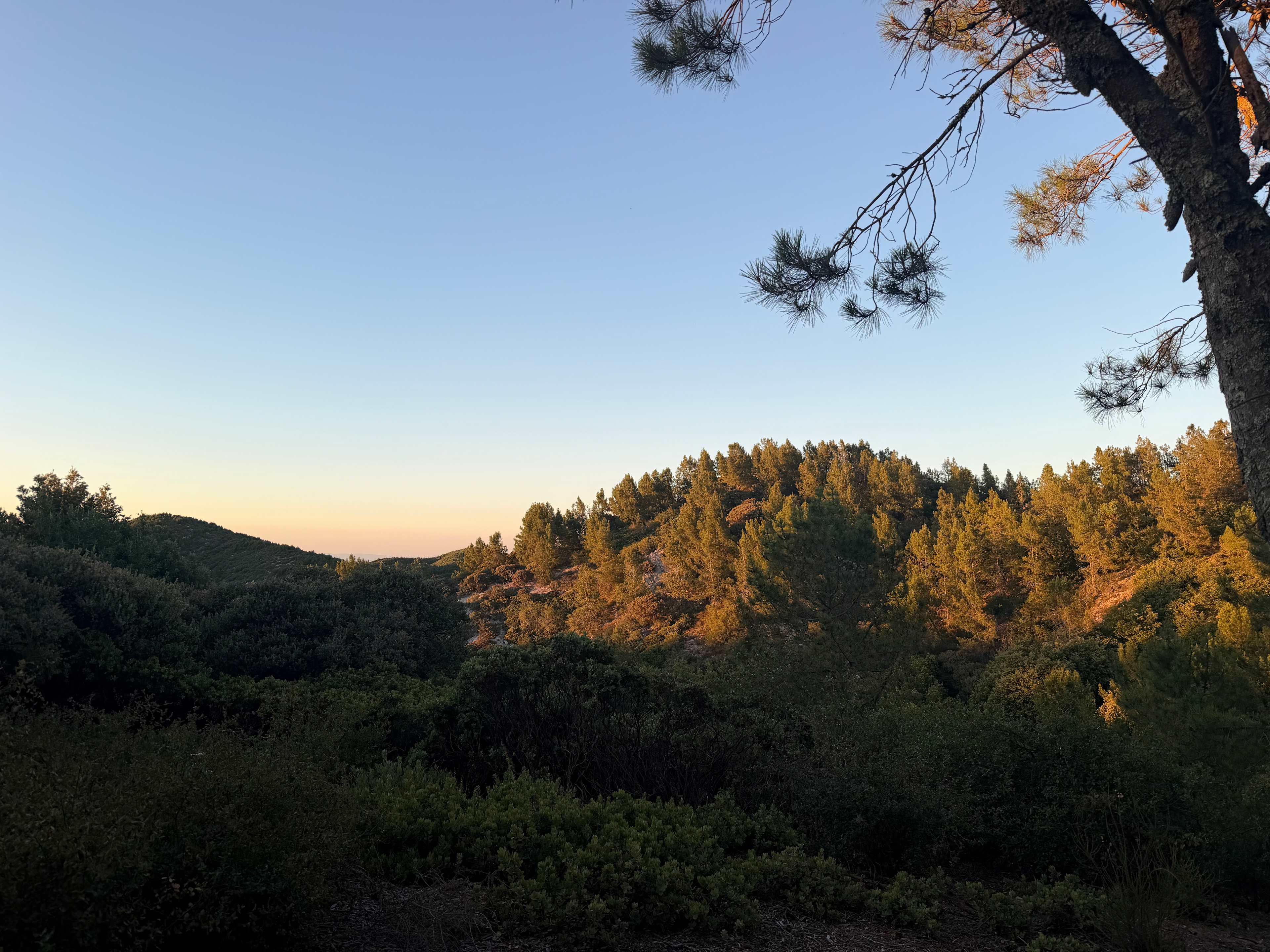 Mt Rancho (FKA La Montaña Ranch)