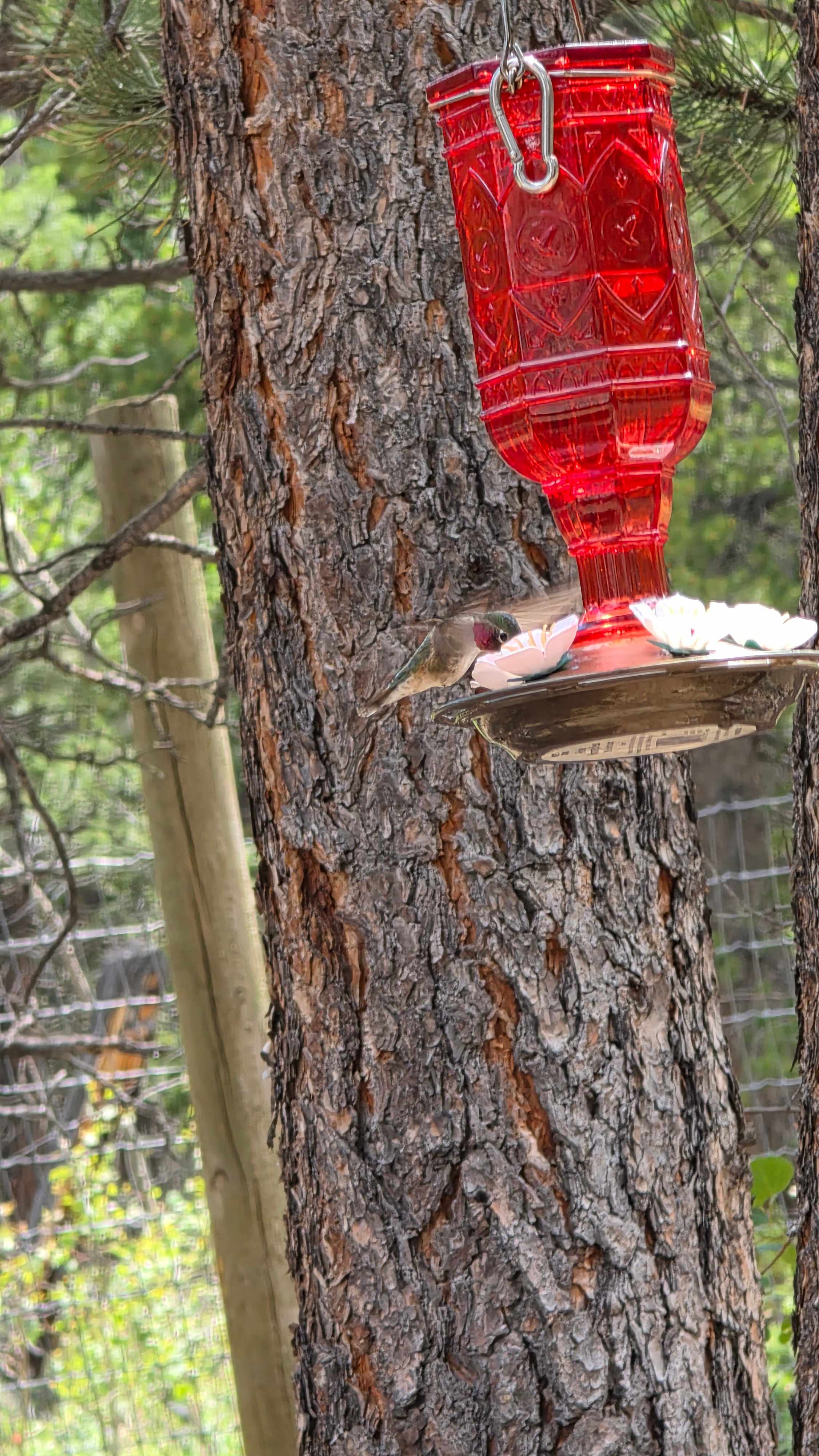Rocky Mountain RV Retreat