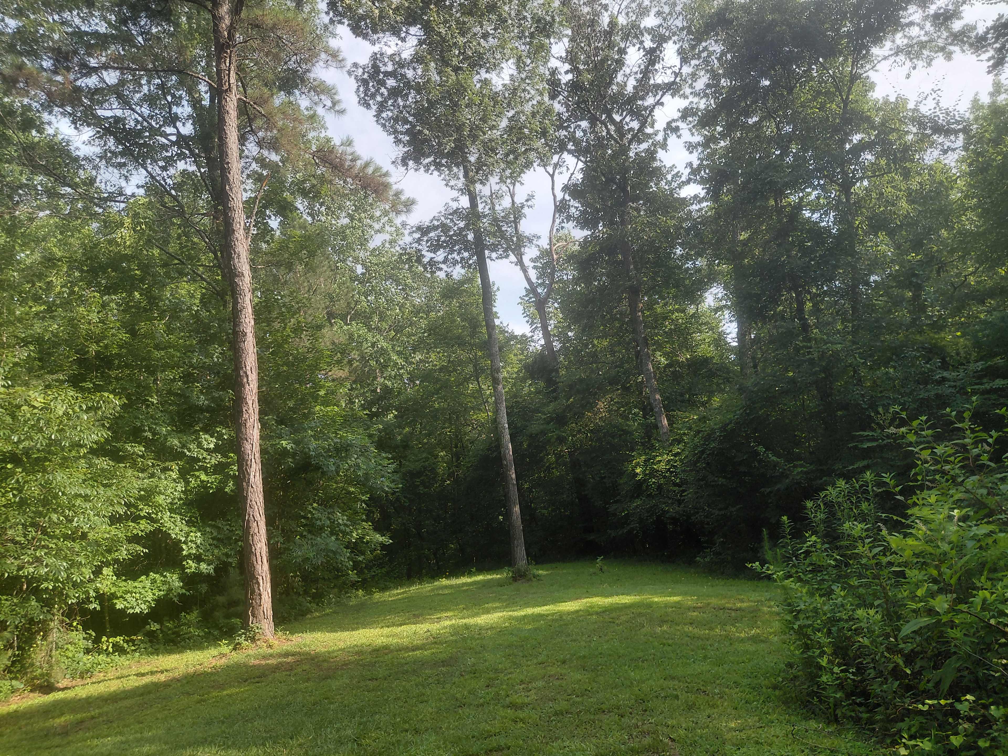 Argo’s Park & Trails