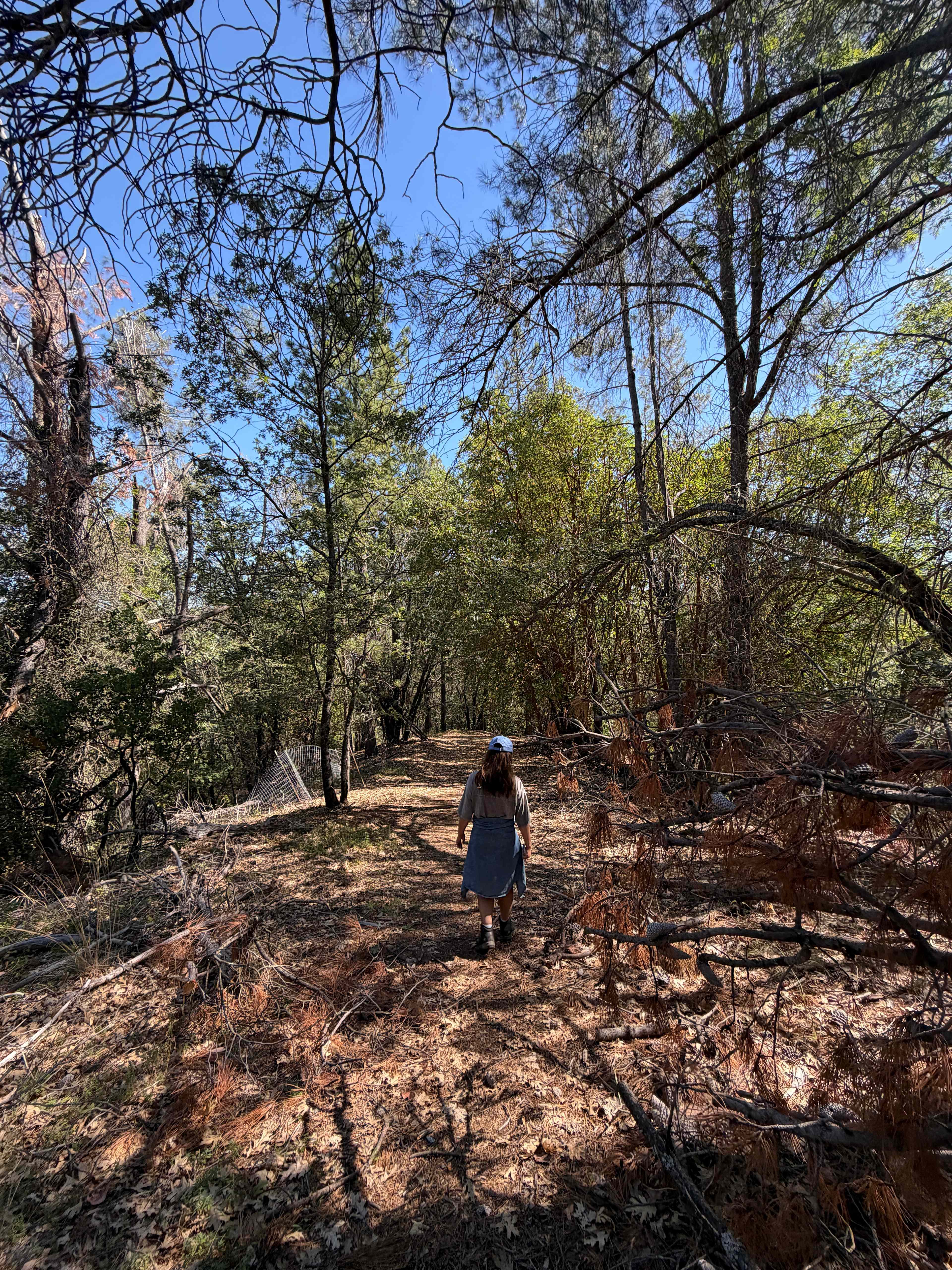 Mandala Springs Wellness Center