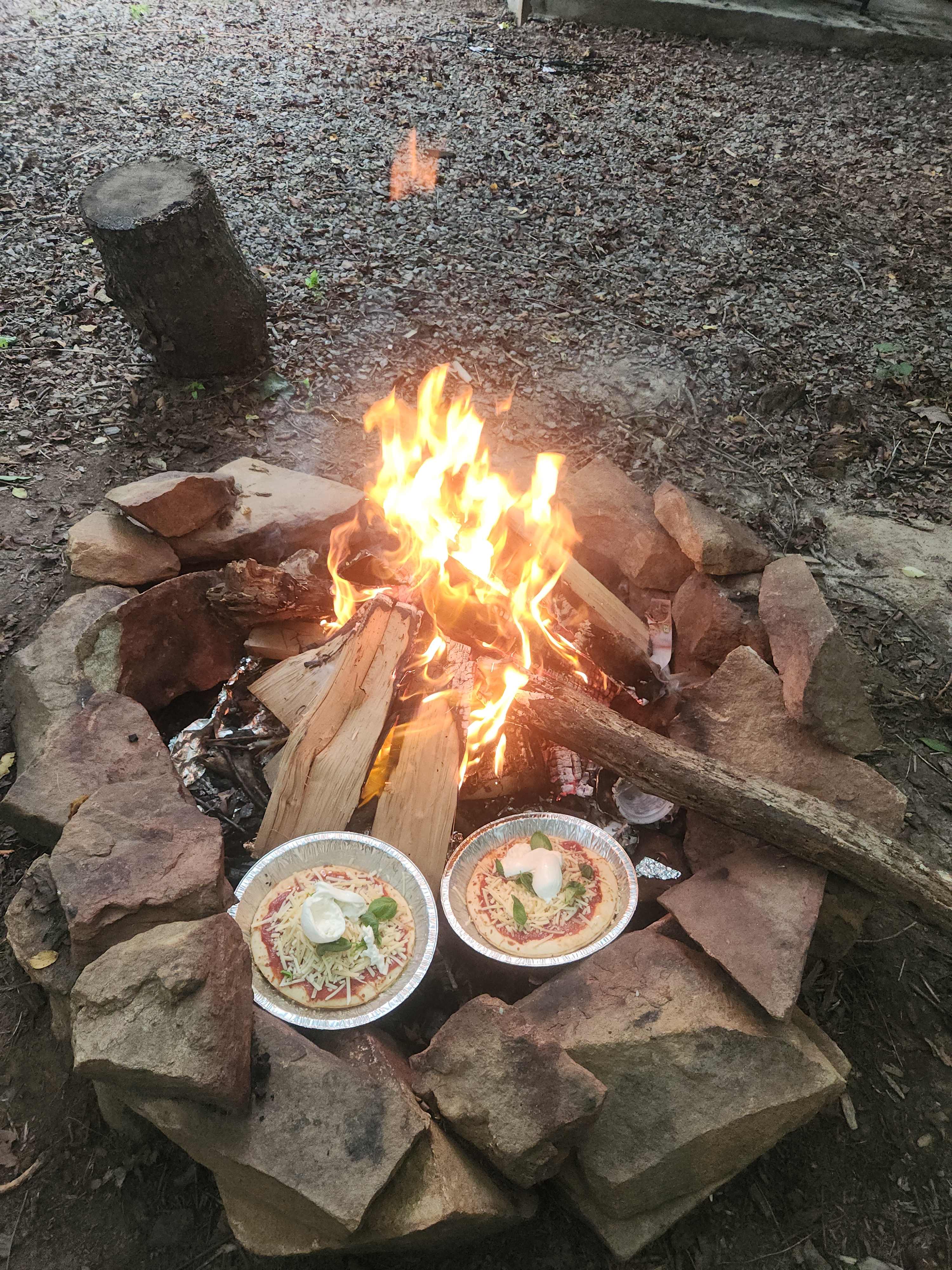 AVL Treetop Camping Tent Site 🏕️