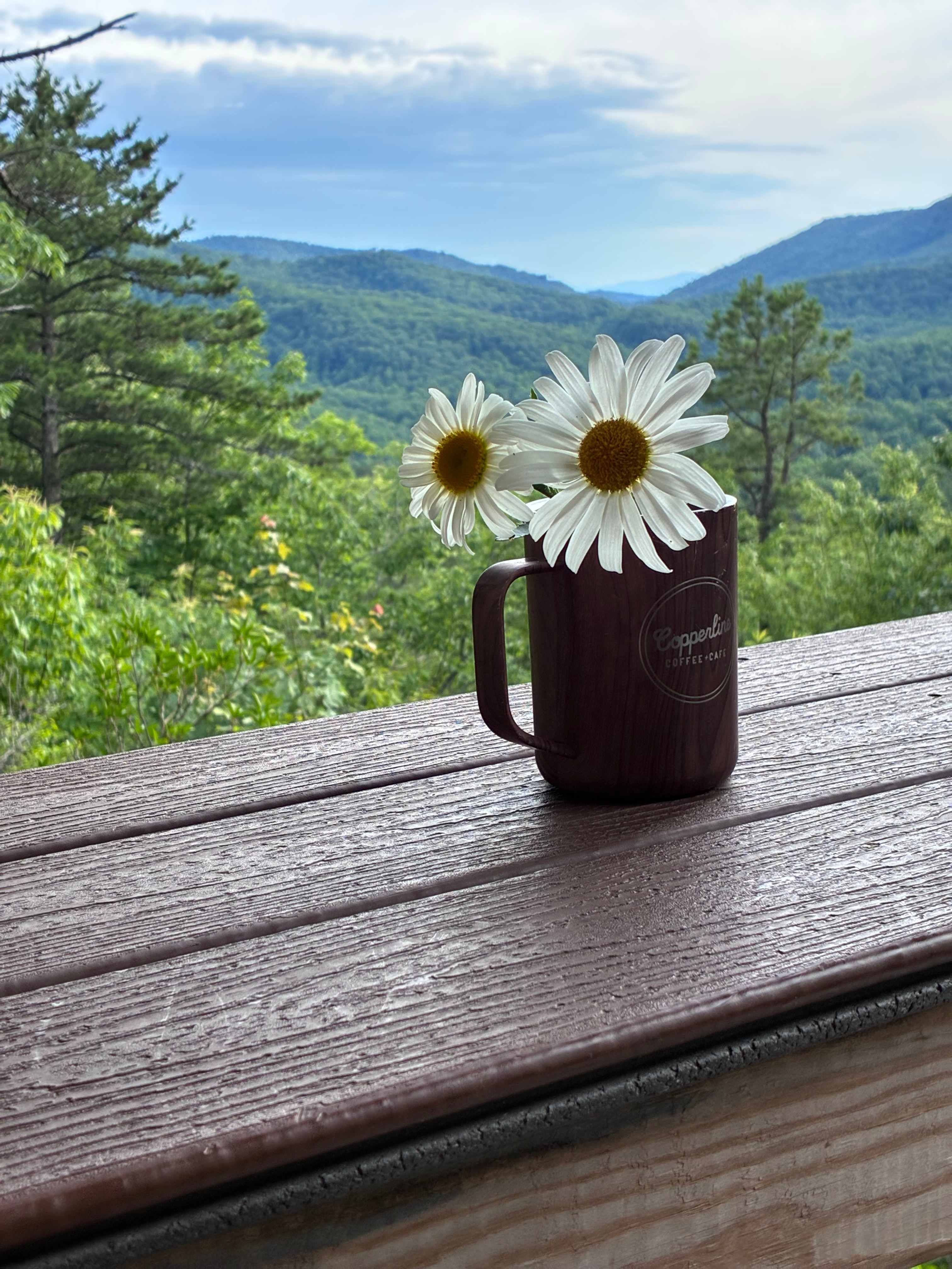 Above the Fray Glamping, Black Mtn.