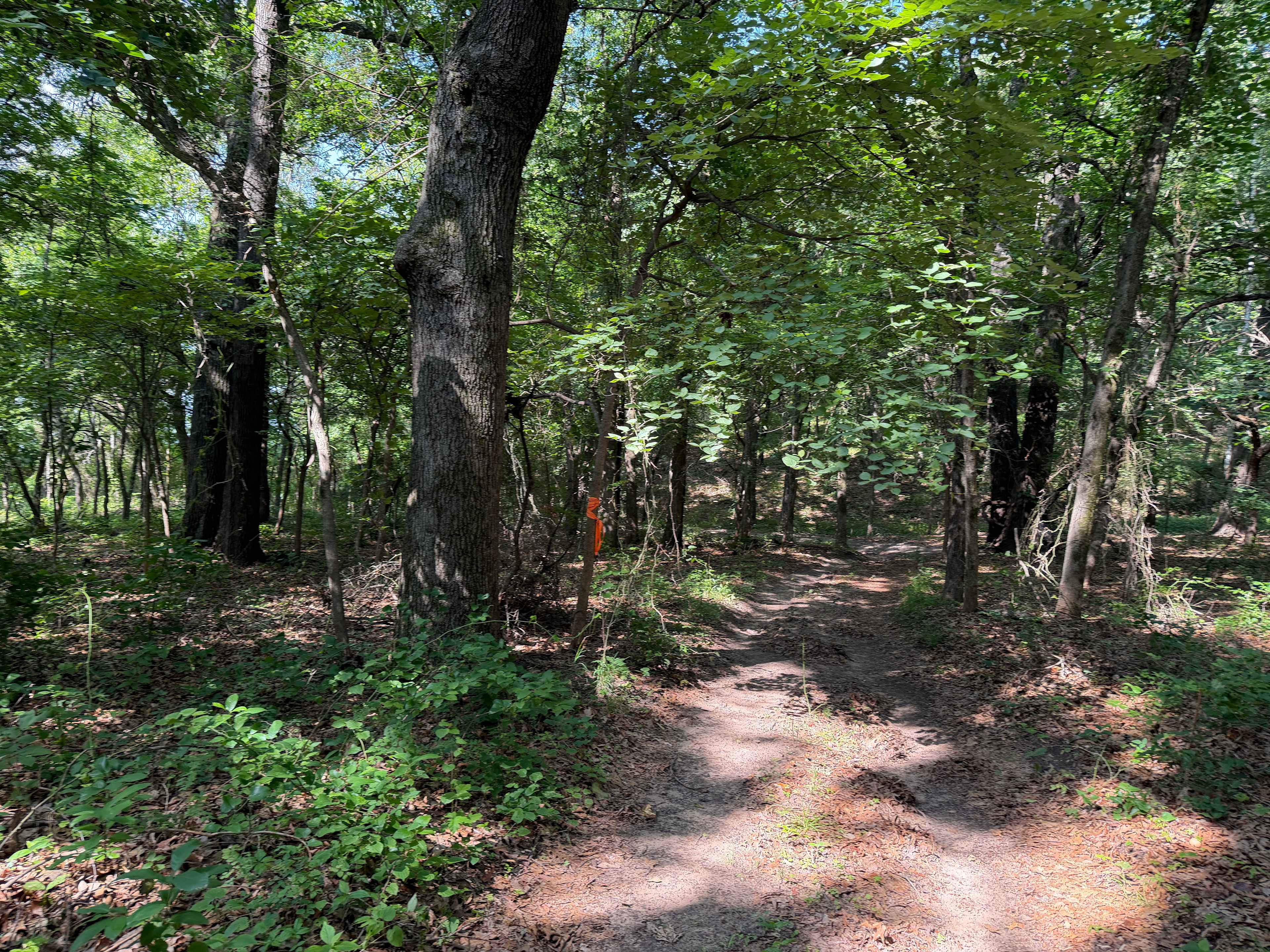 Hickman Hideaway