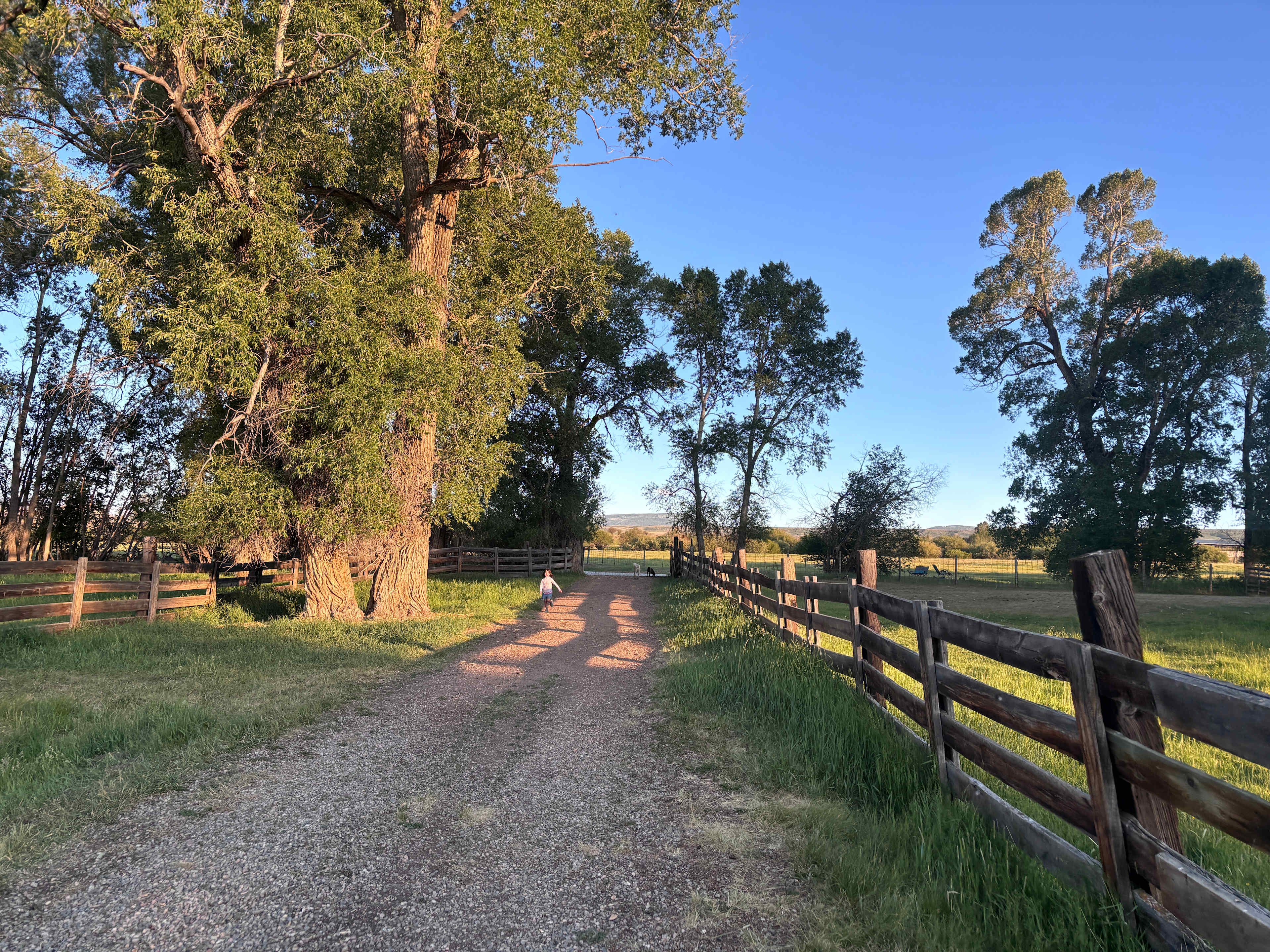 Valley of the Bear Ranch