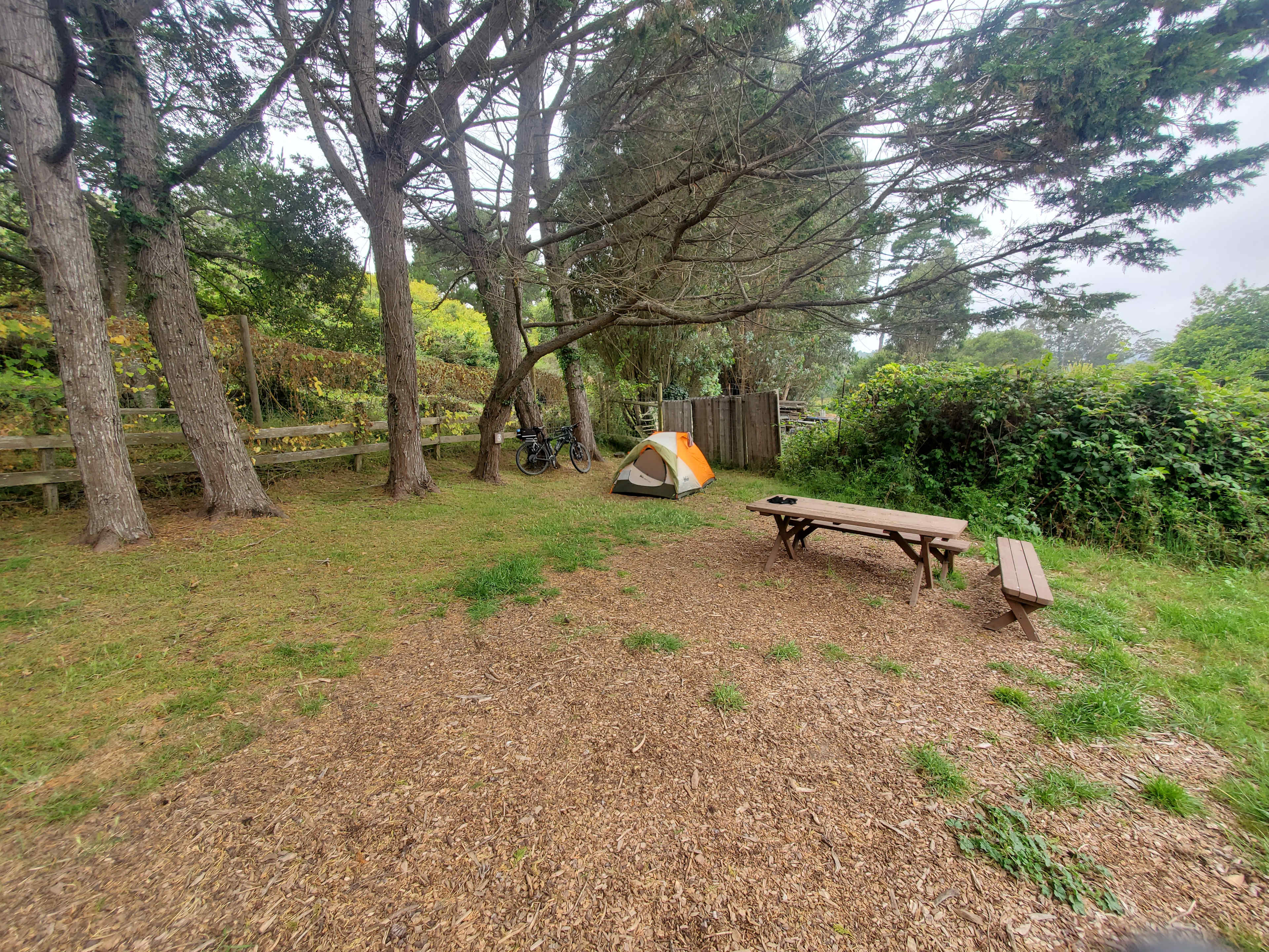 Meadow camping in Bolinas