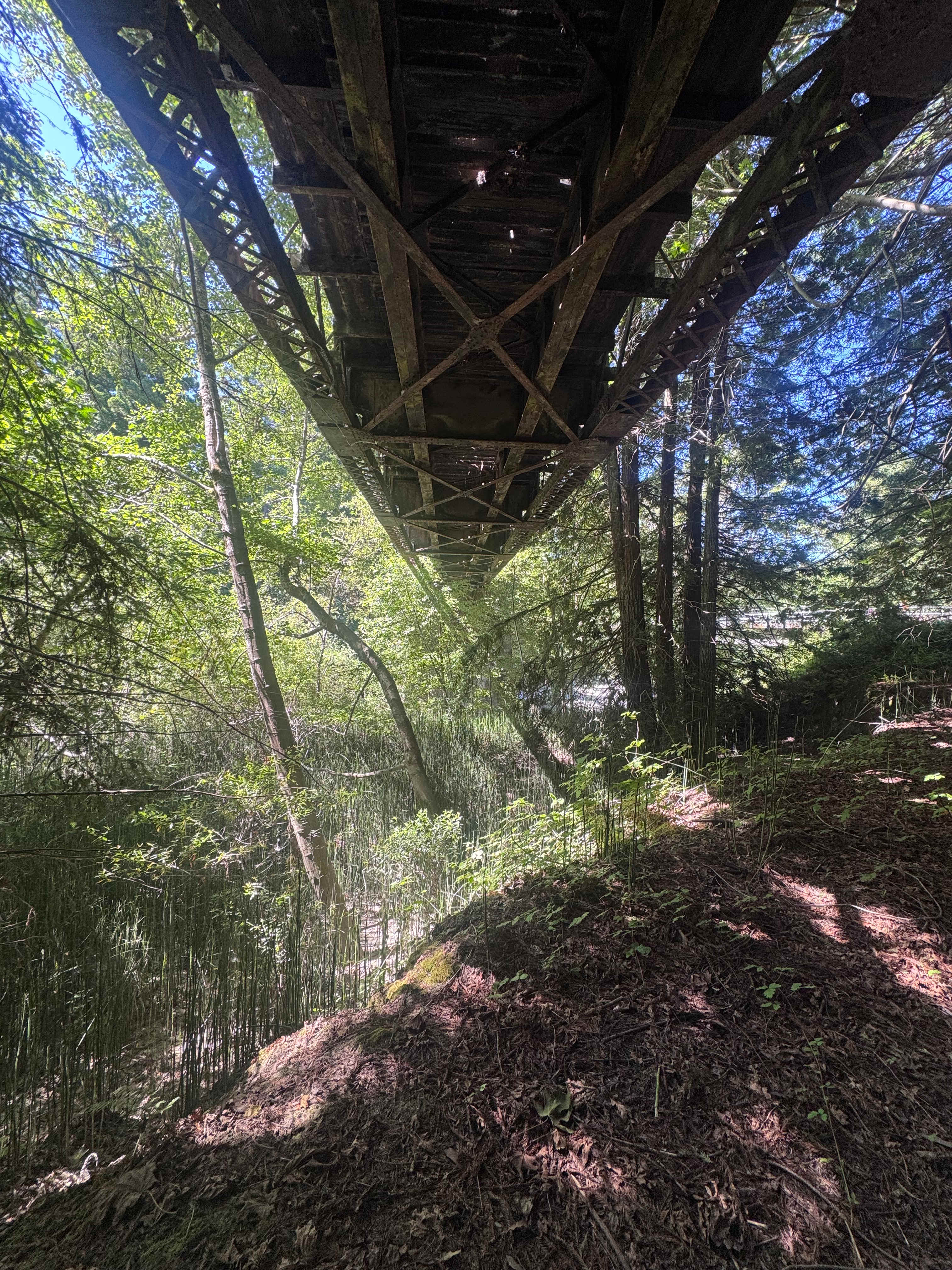 Camp Larabee - Secluded Redwoods