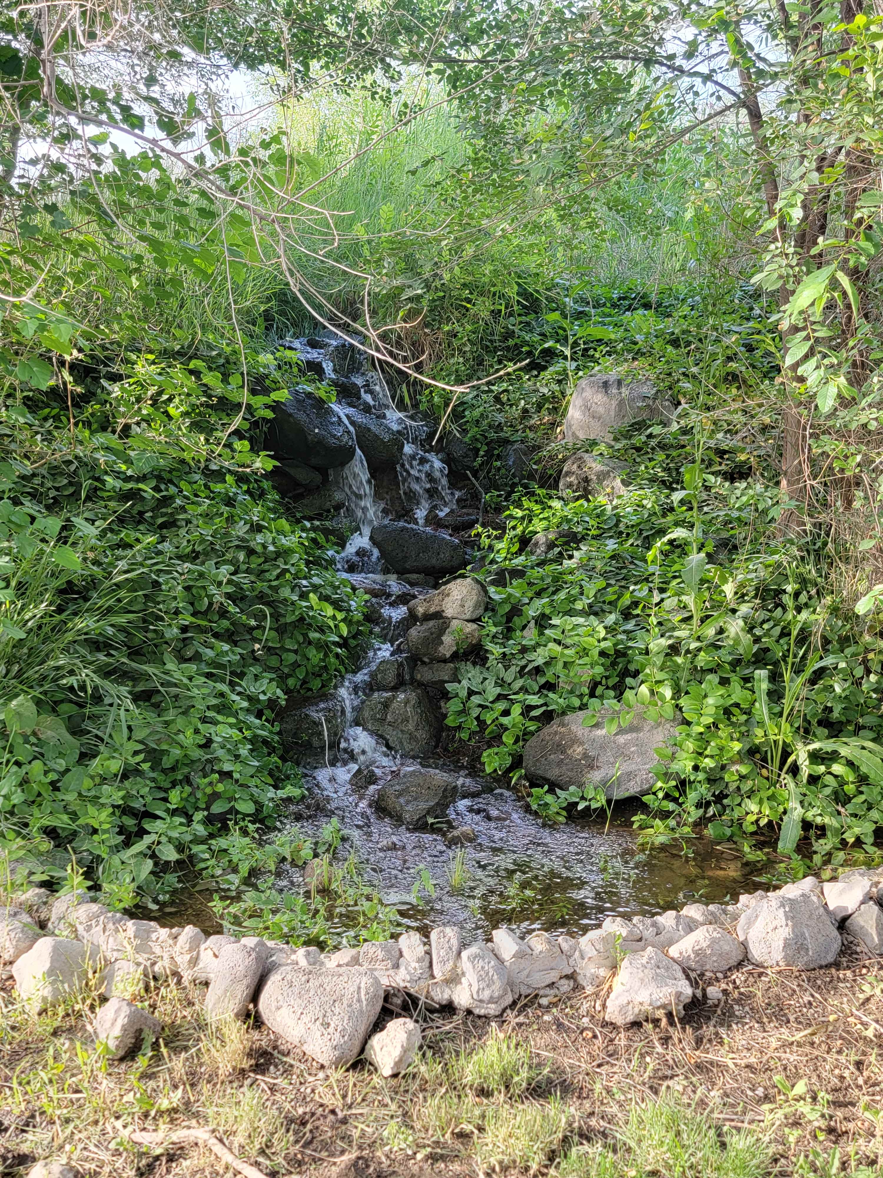 Creekside Retreat