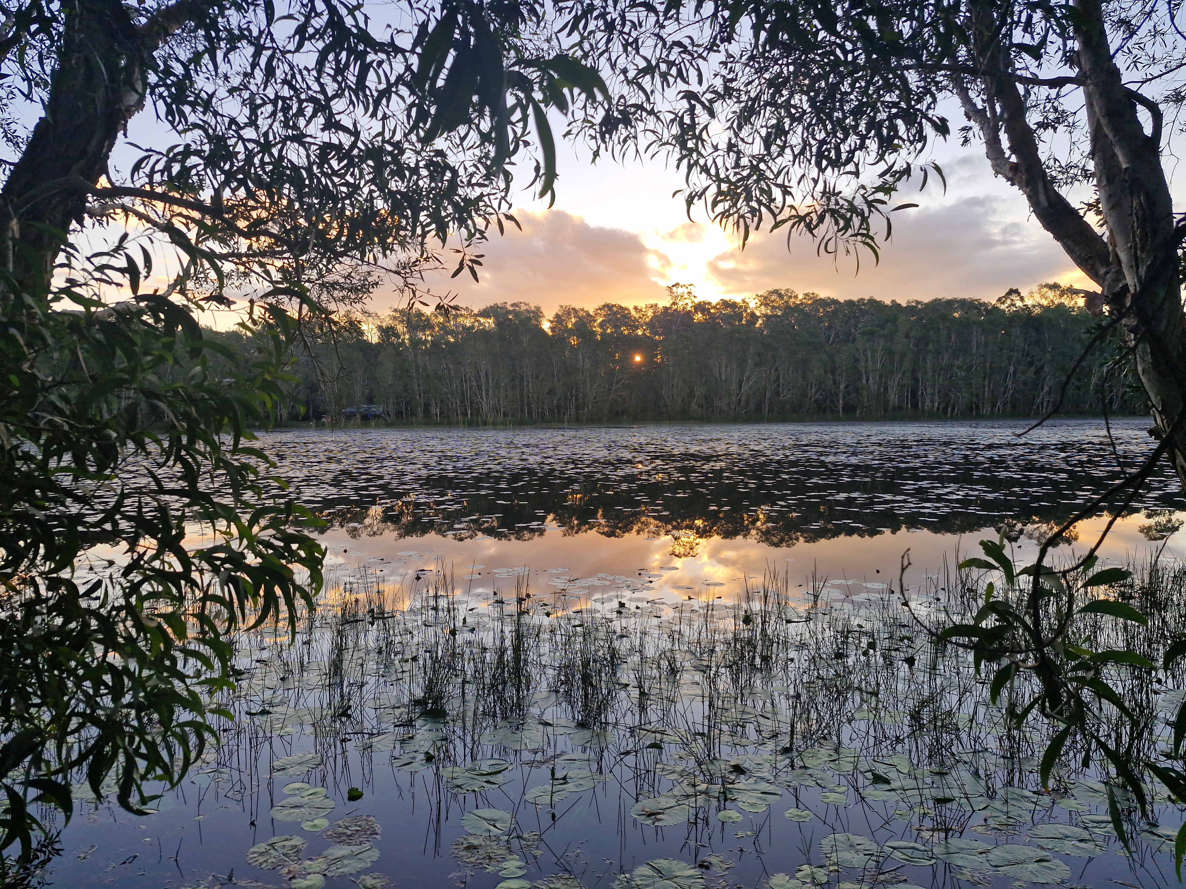 The Magic Pond