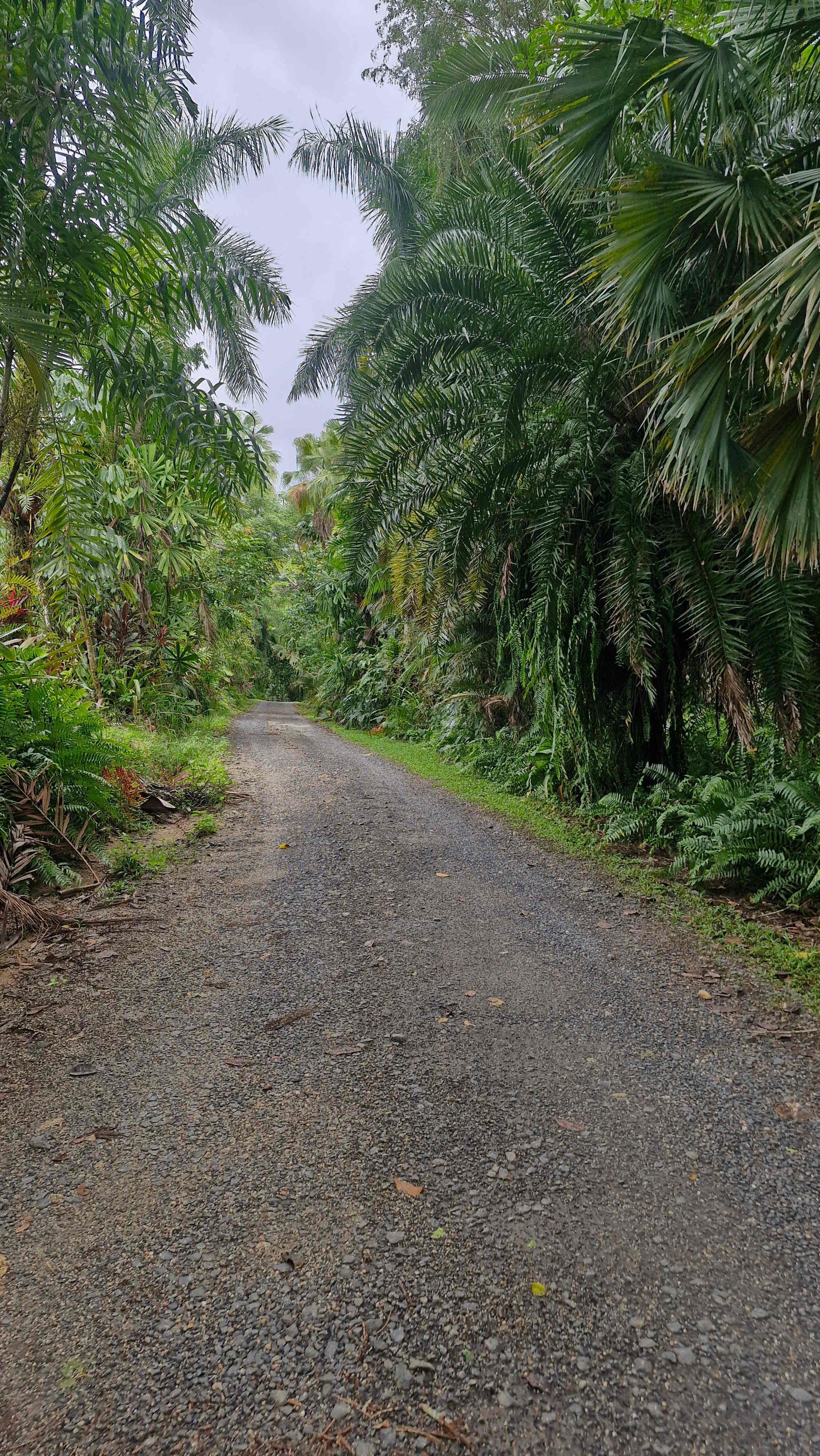 Paradise Camps