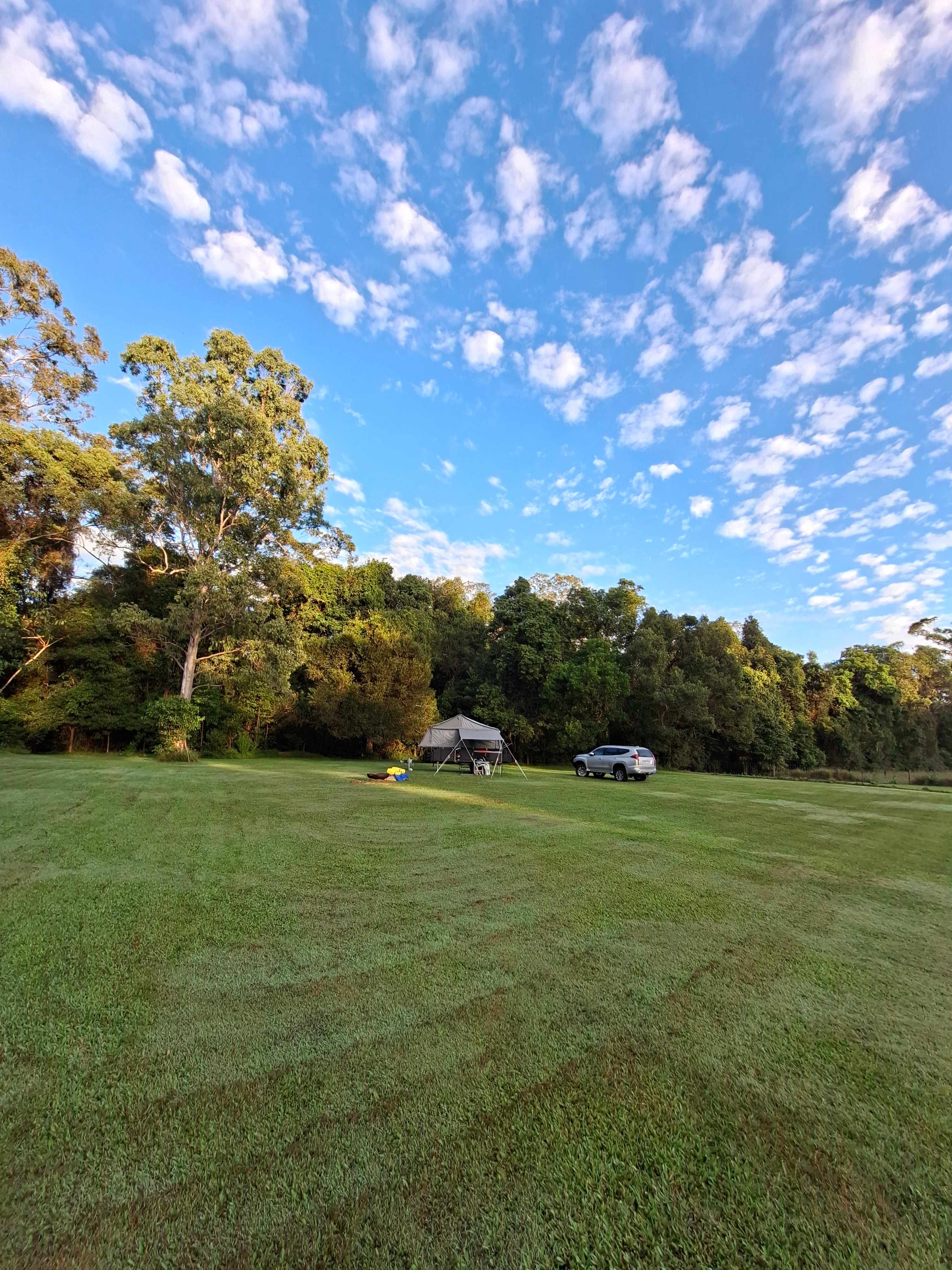 Kurrajong Meadow