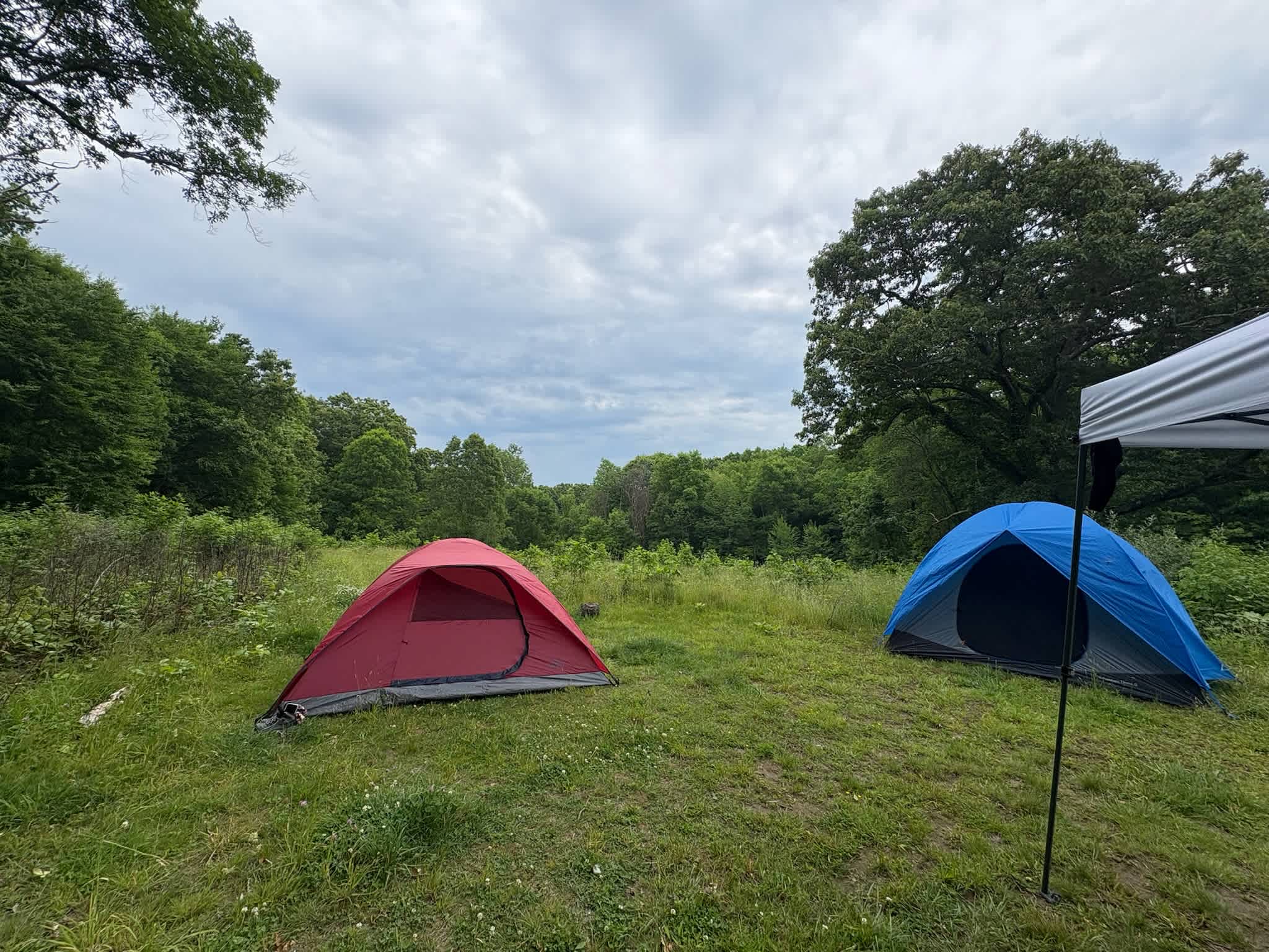 Goodfield Farm Rustic Camping