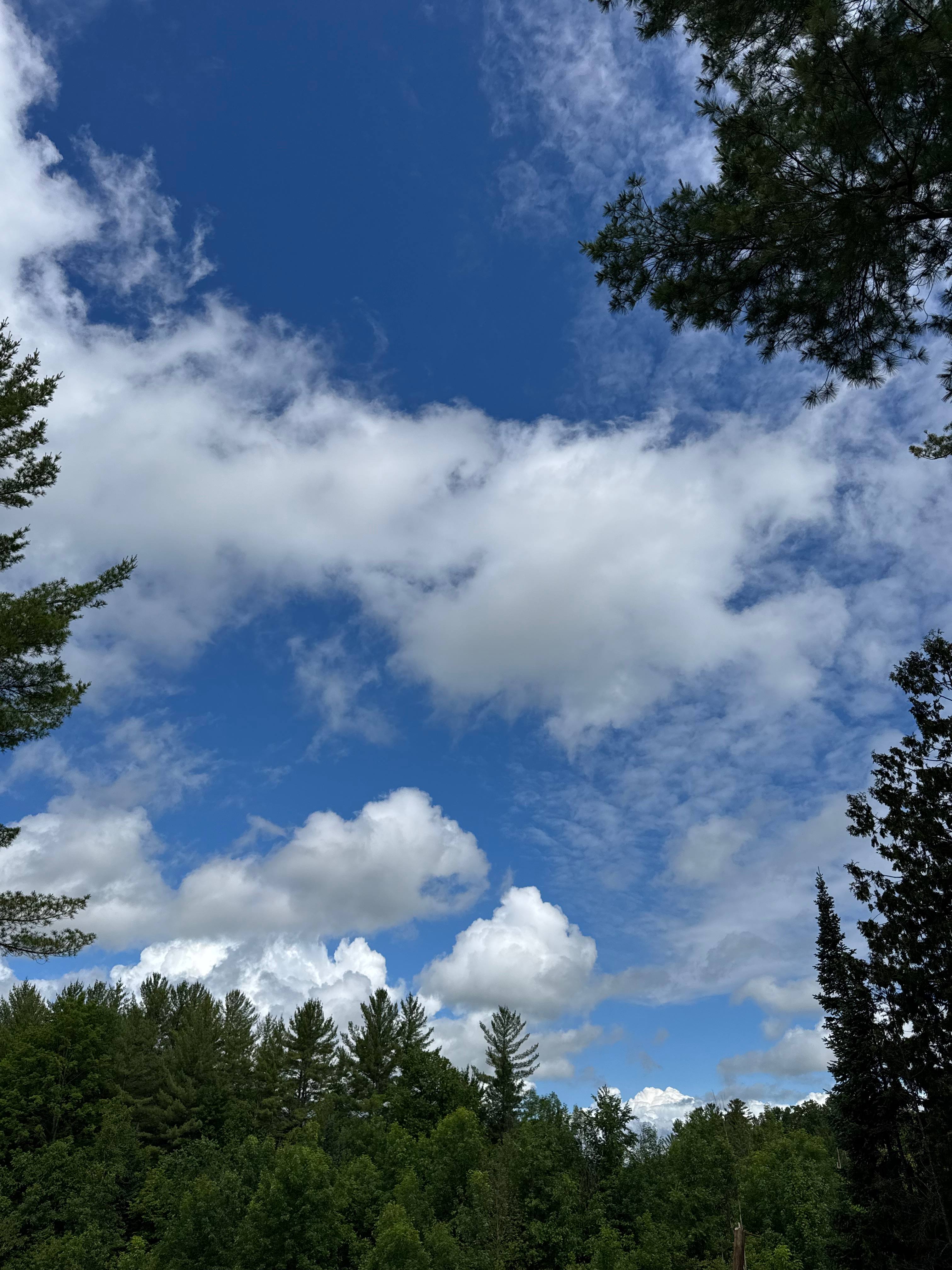 Boondock Ridge