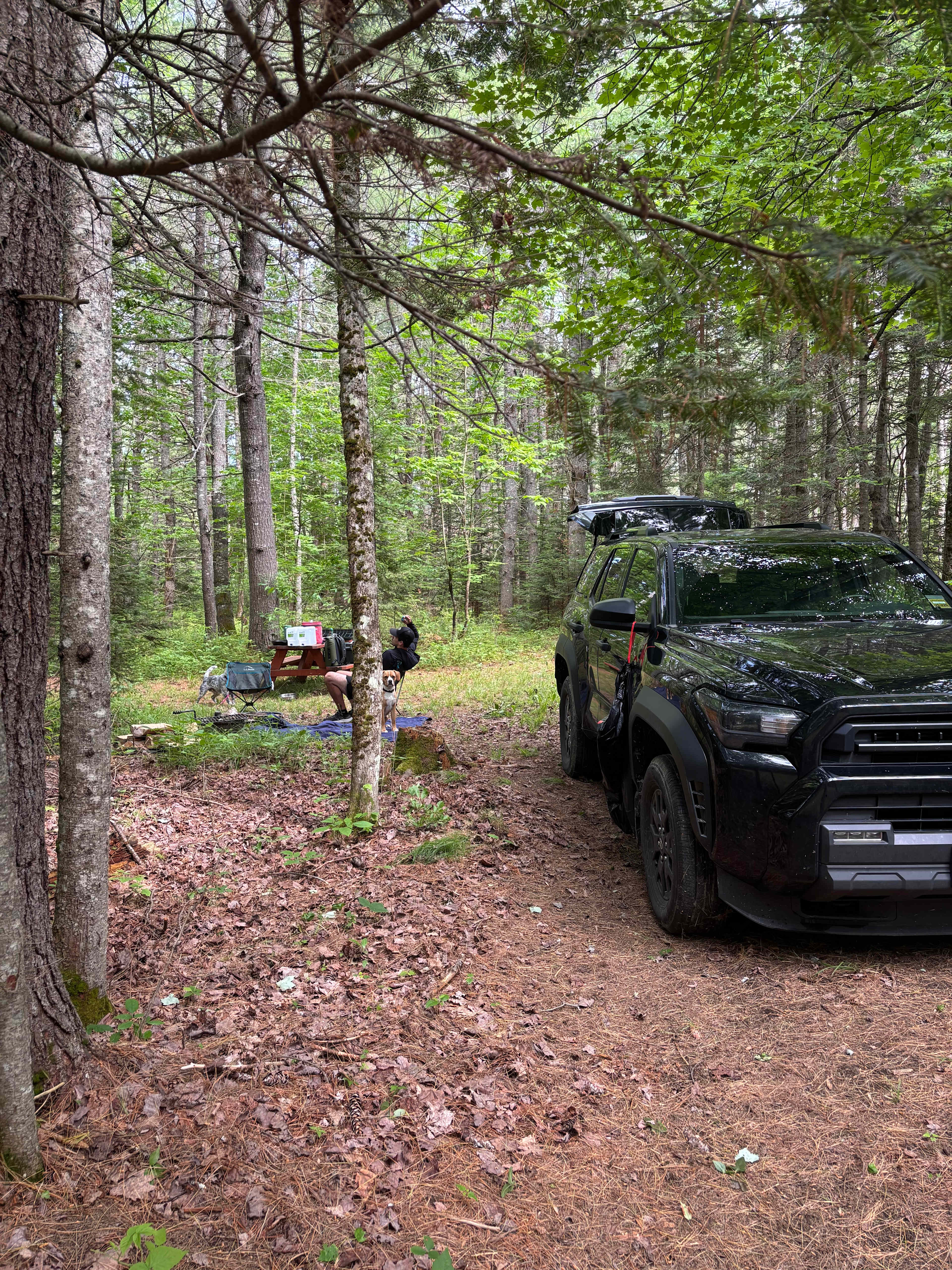 Maine Star Campground