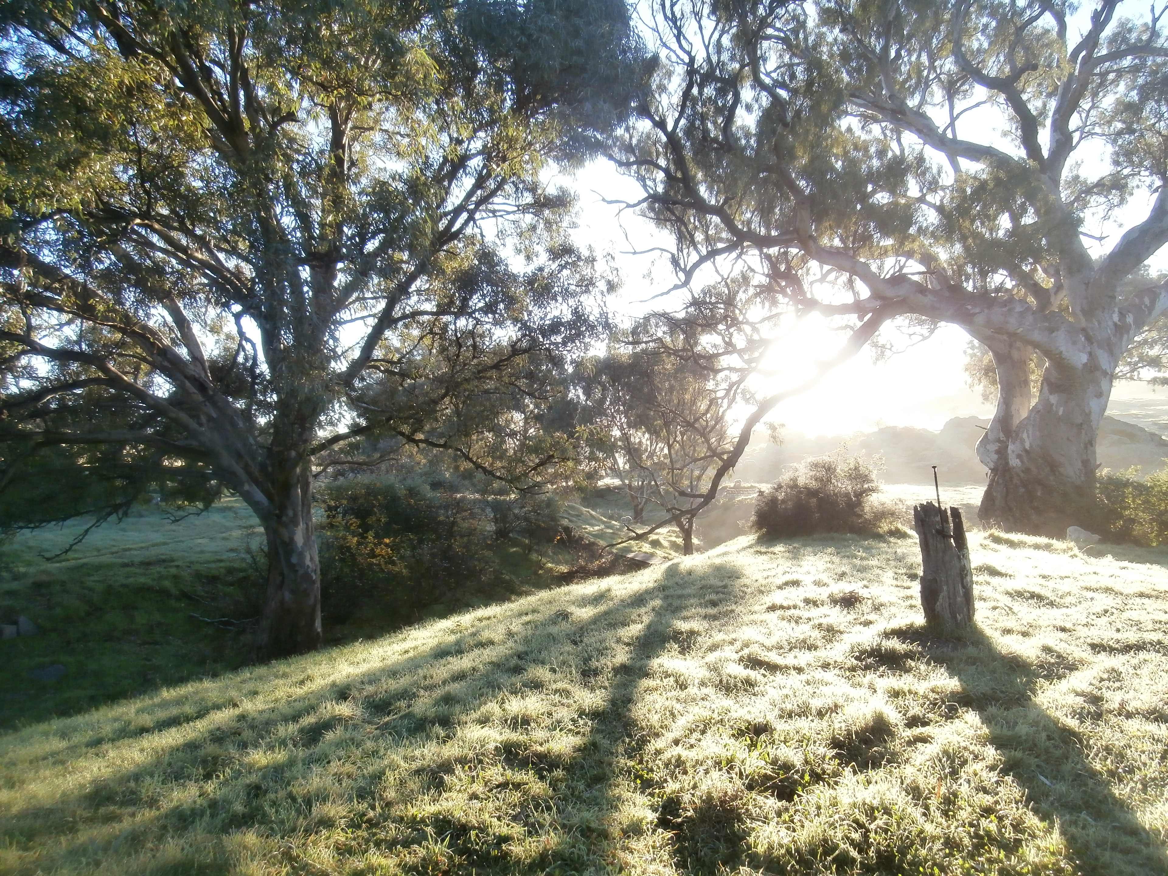 Humble Farm