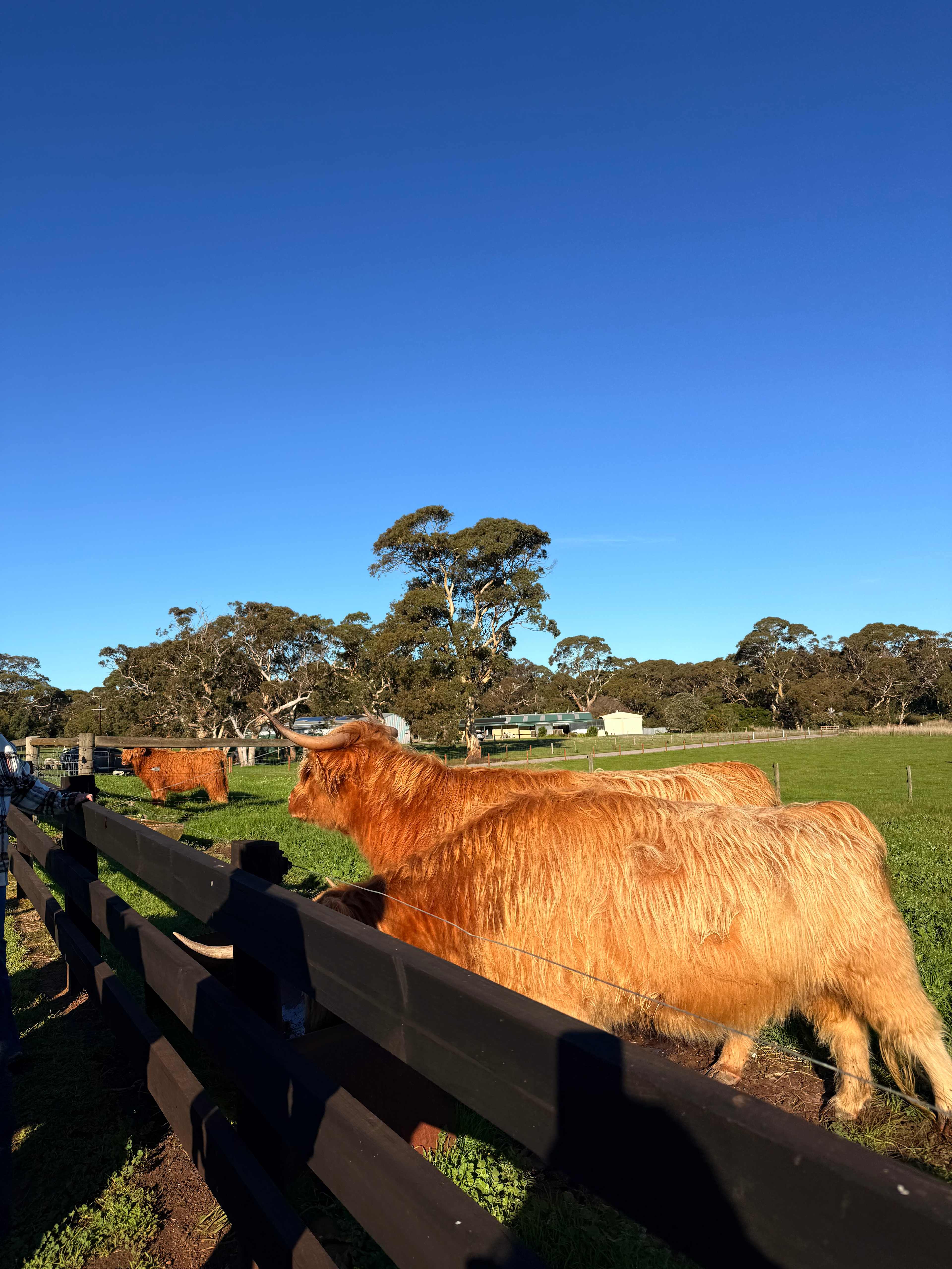 Breakaway Farmstay