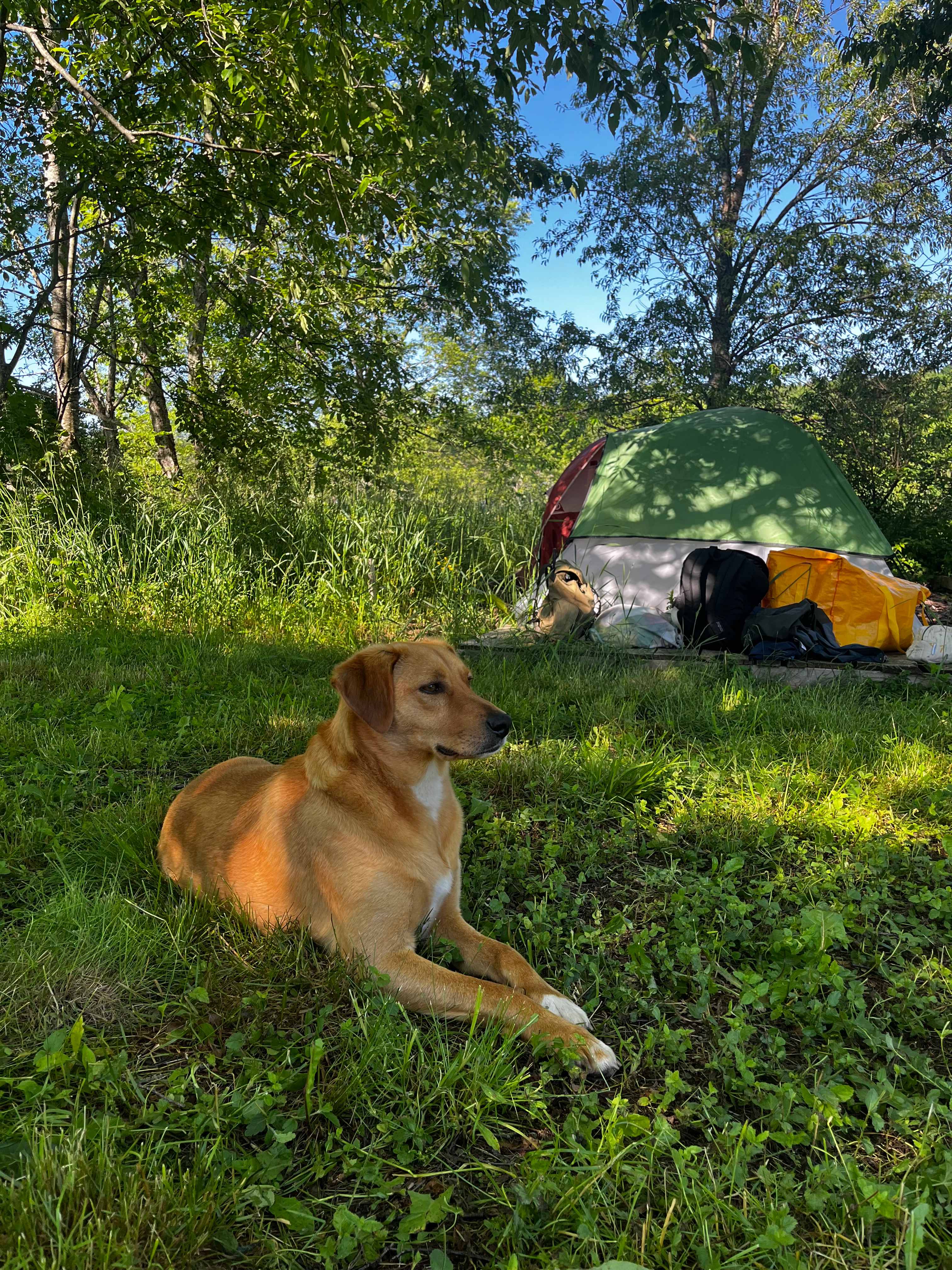 Secluded Farm Camp with Views