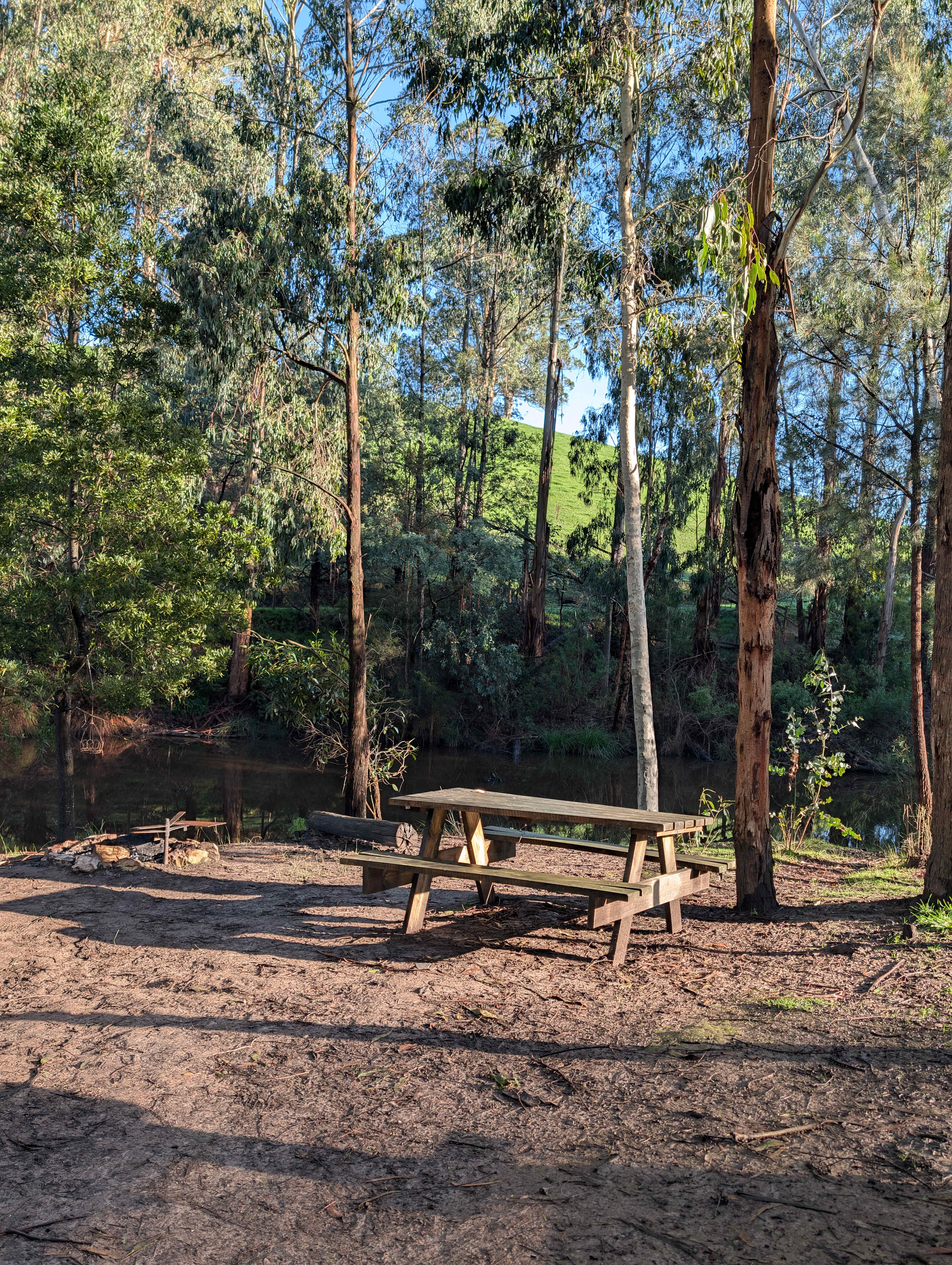 Whispering Gums