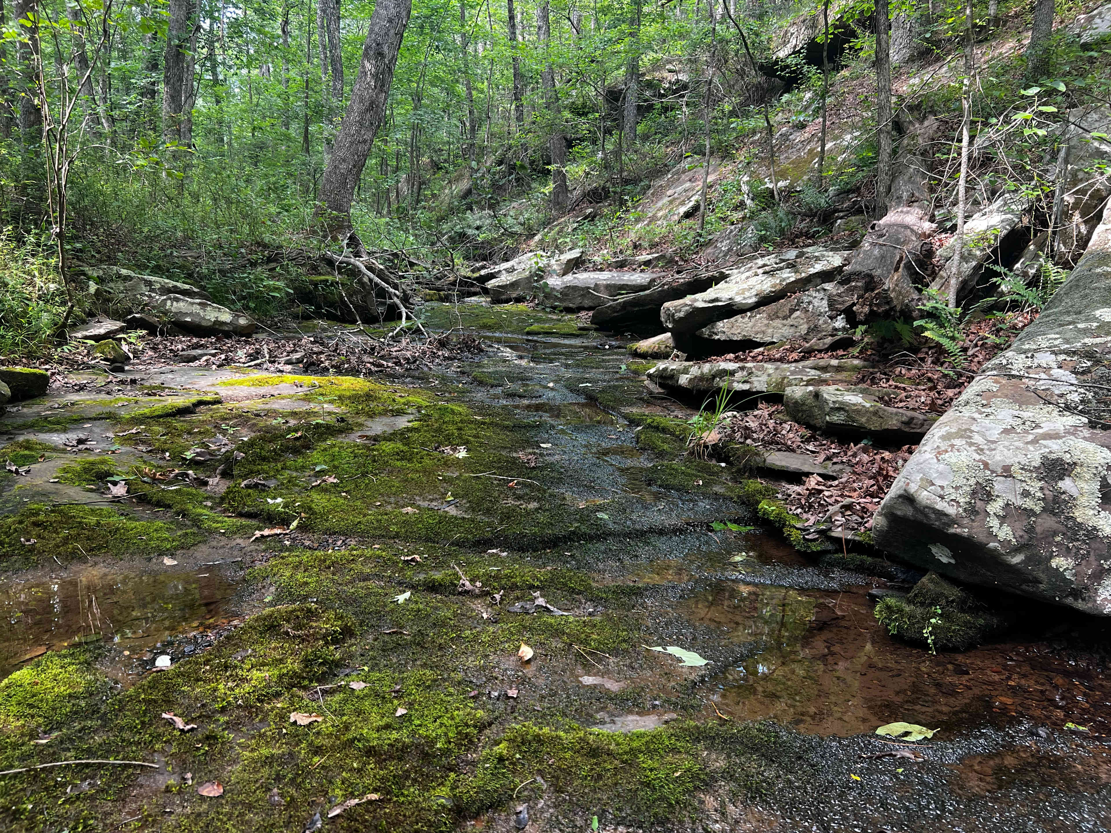 Hidden Springs Camping Retreat