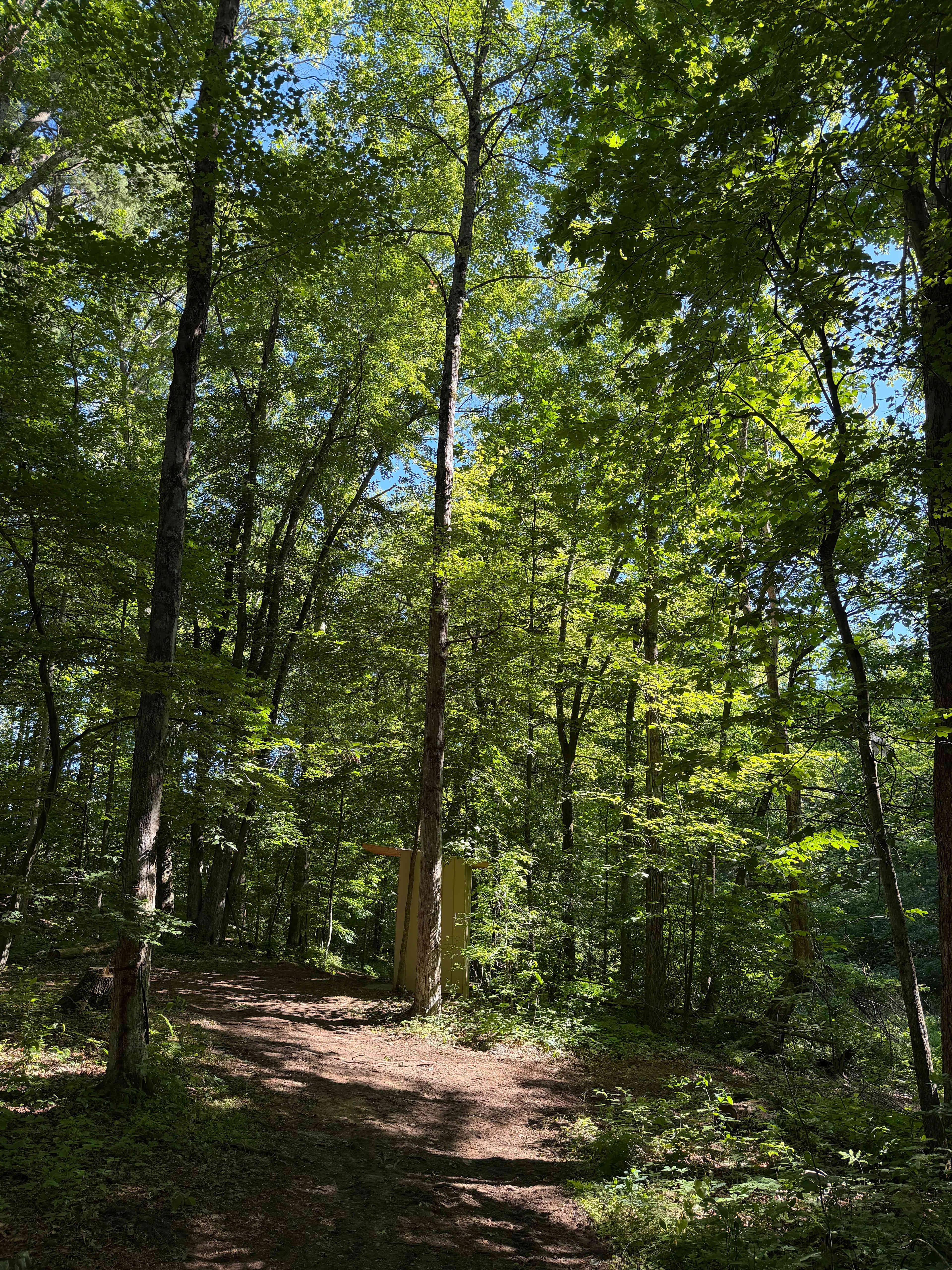 Path to outhouse 
