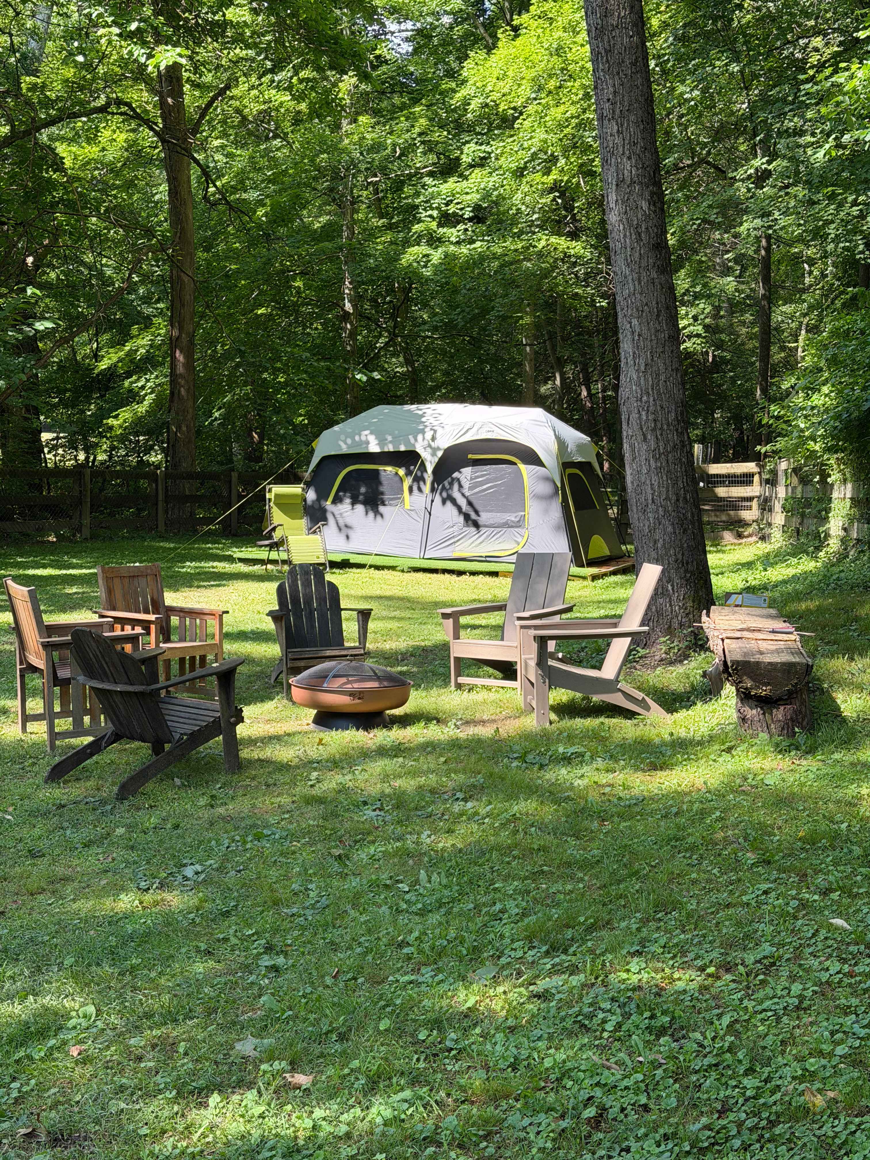 Picture of the site