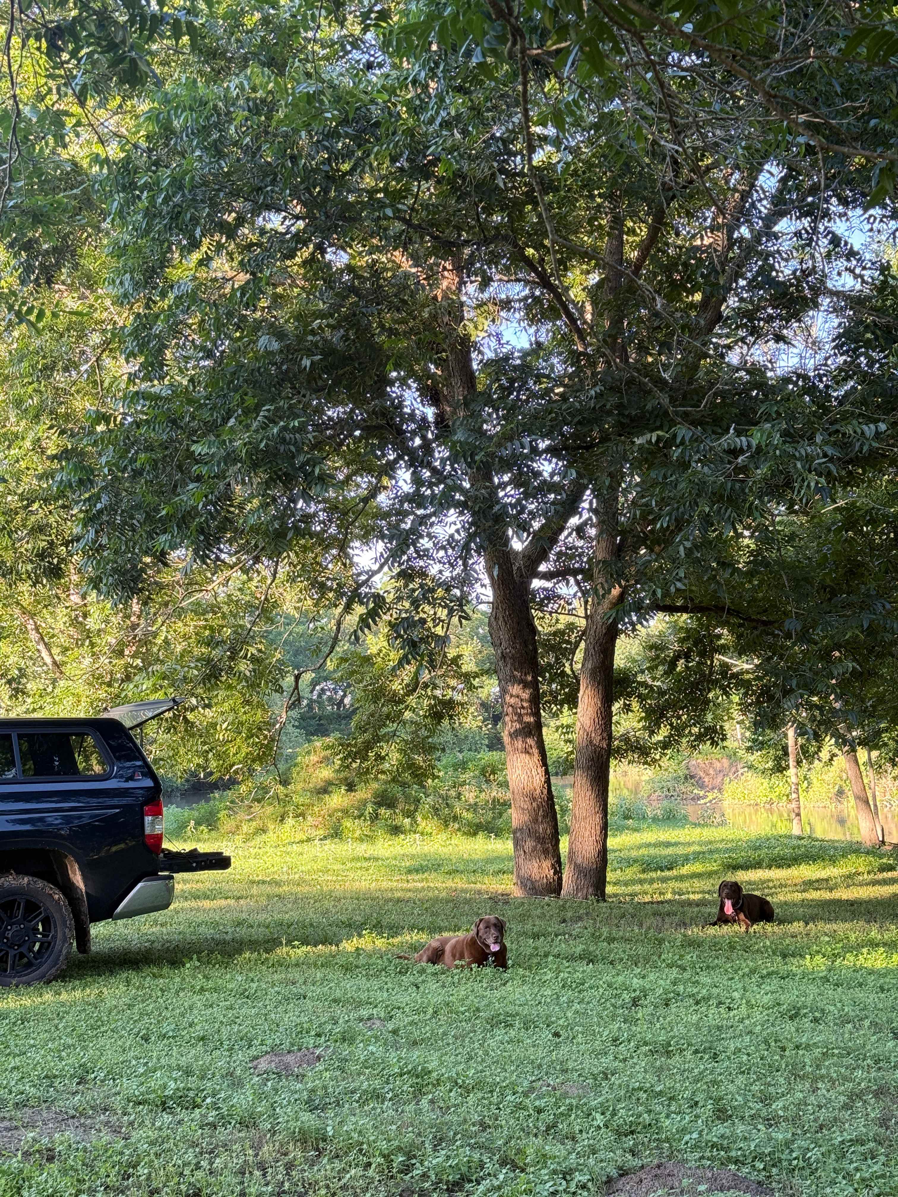 River Grove Campground