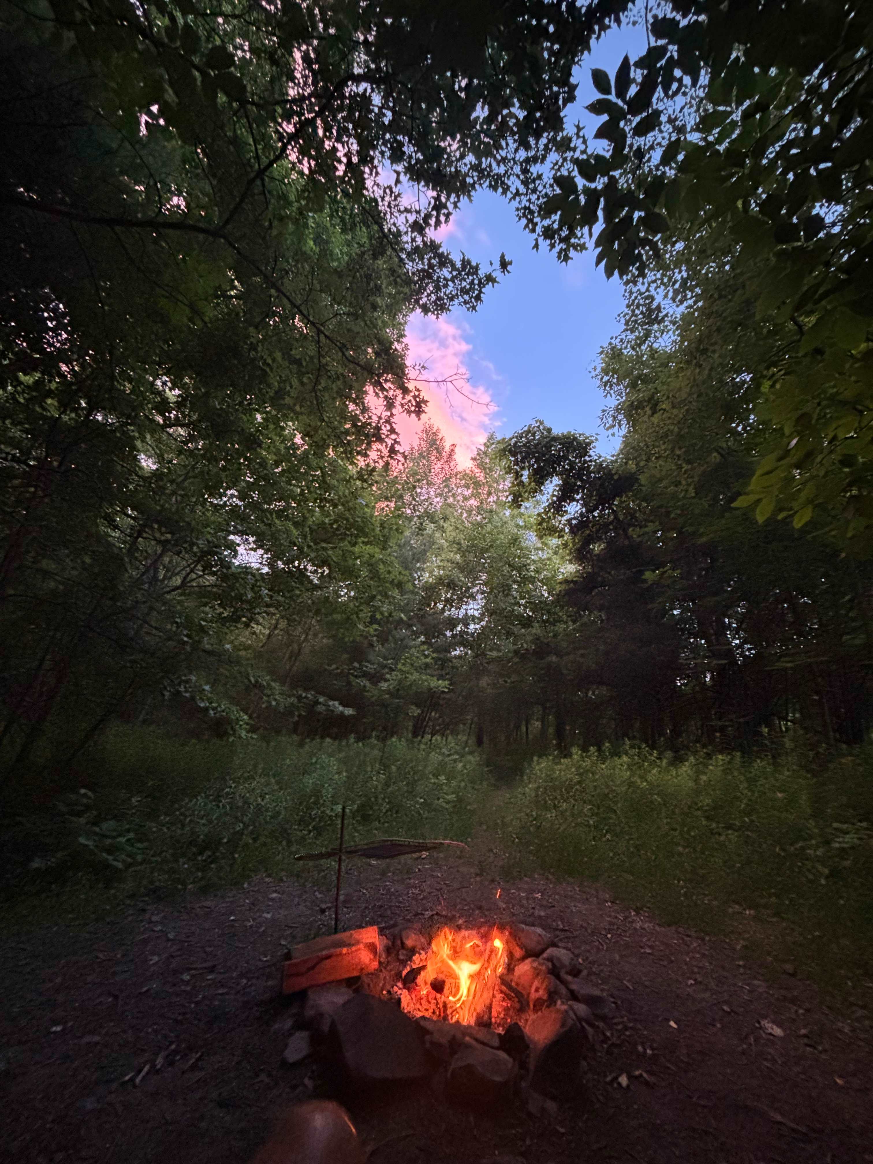 Hickory Hollow