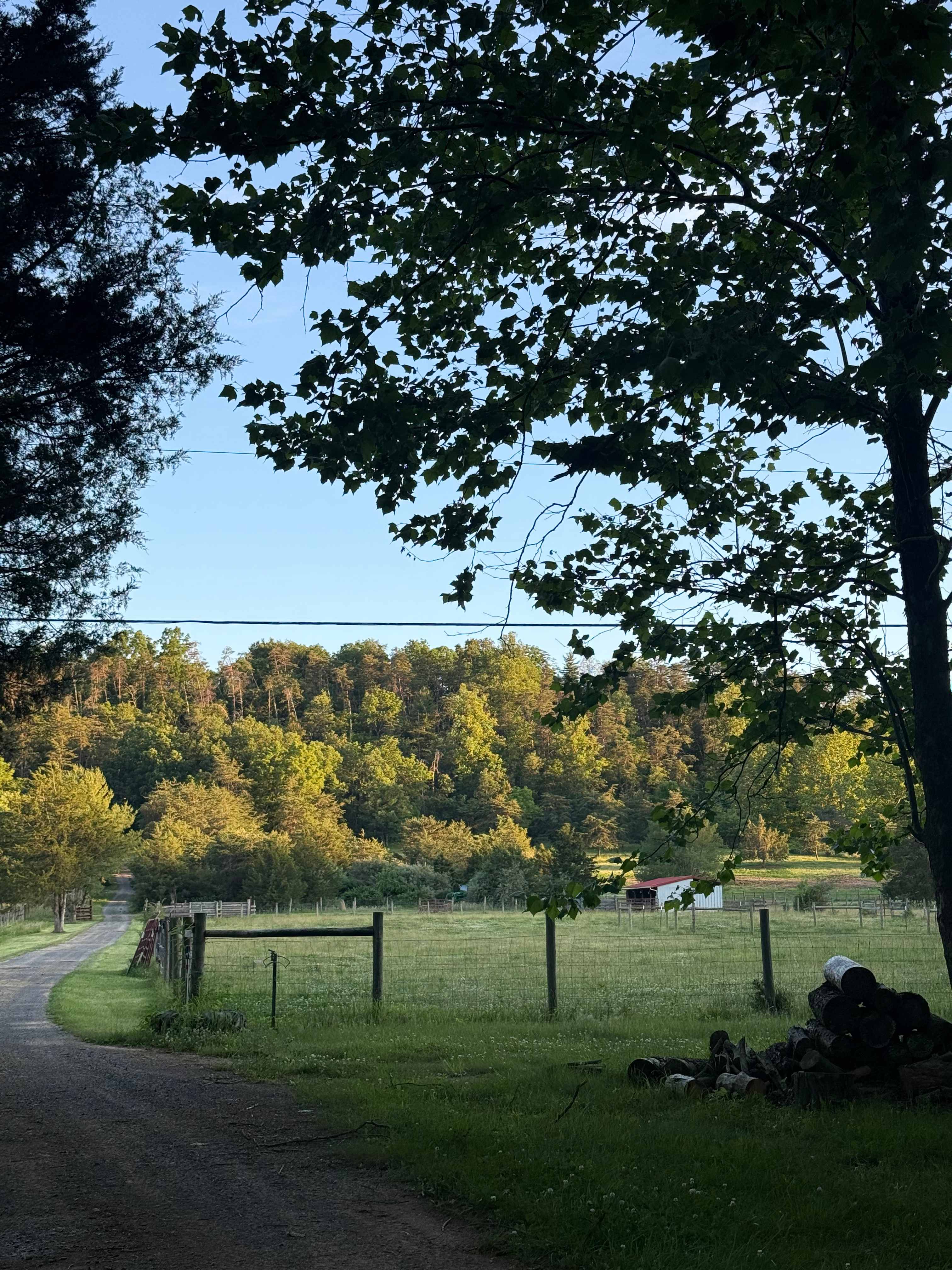 Carp Cove Farm