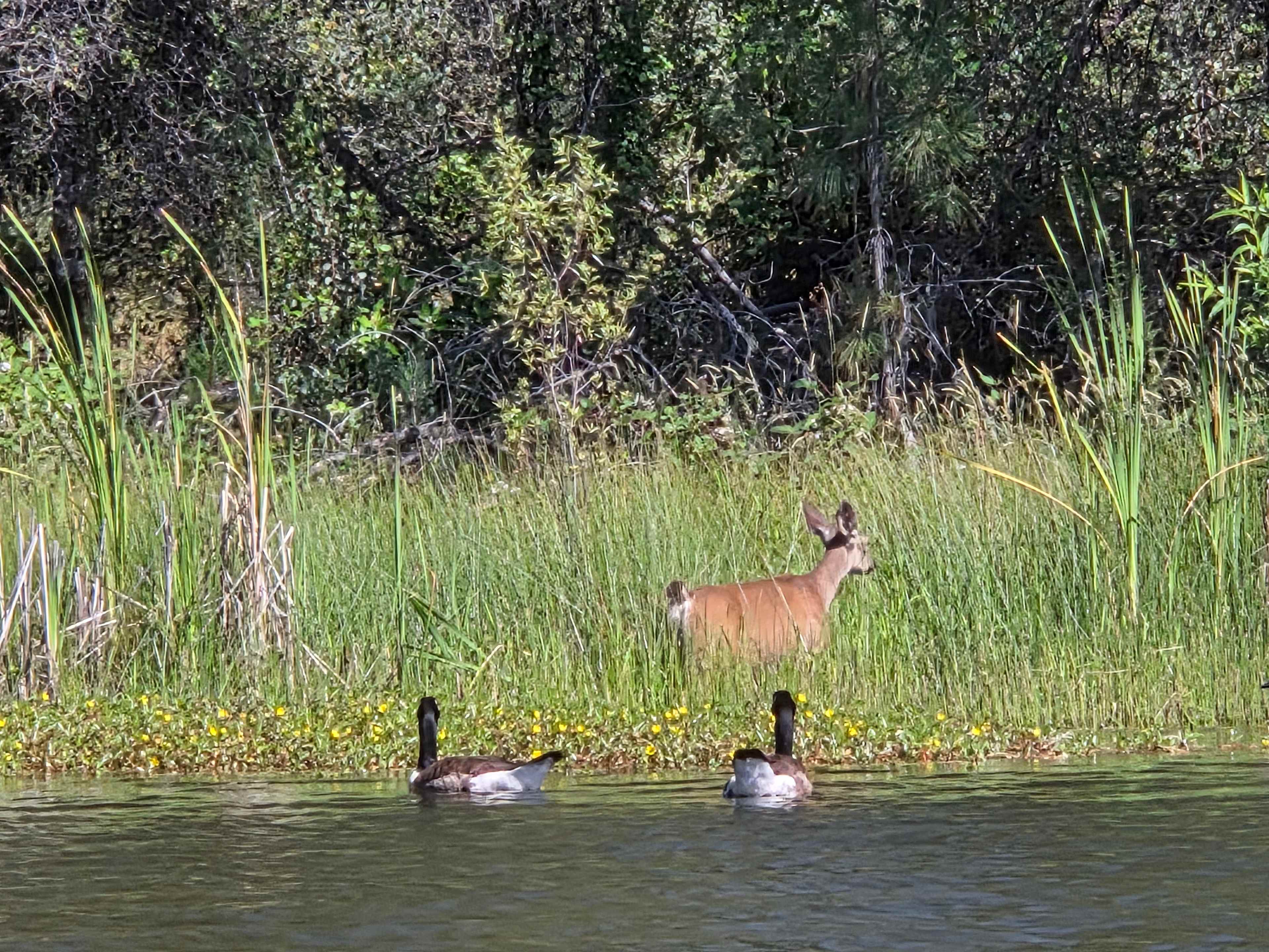 Finnon Lake Recreation Area