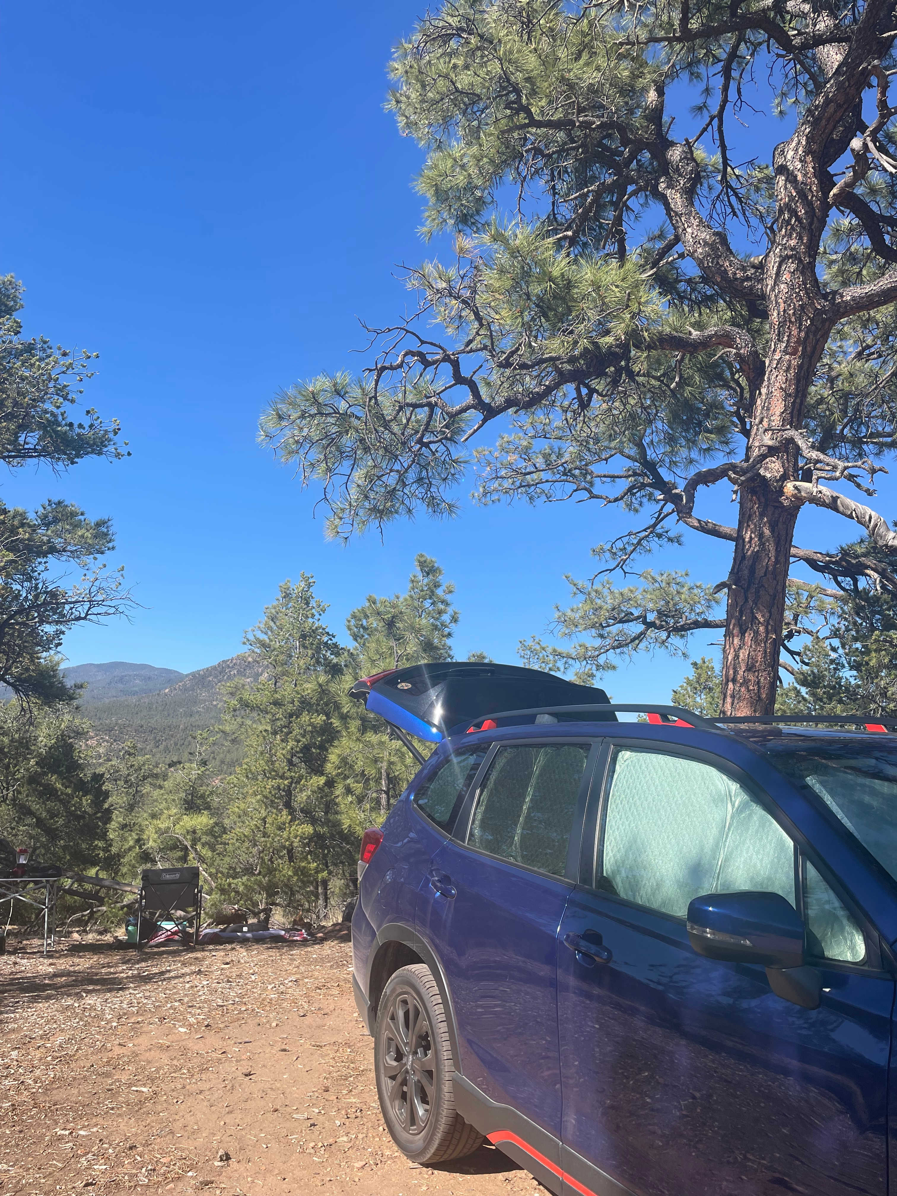 Santa Fe Treehouse Camp & Wilderness Preserve
