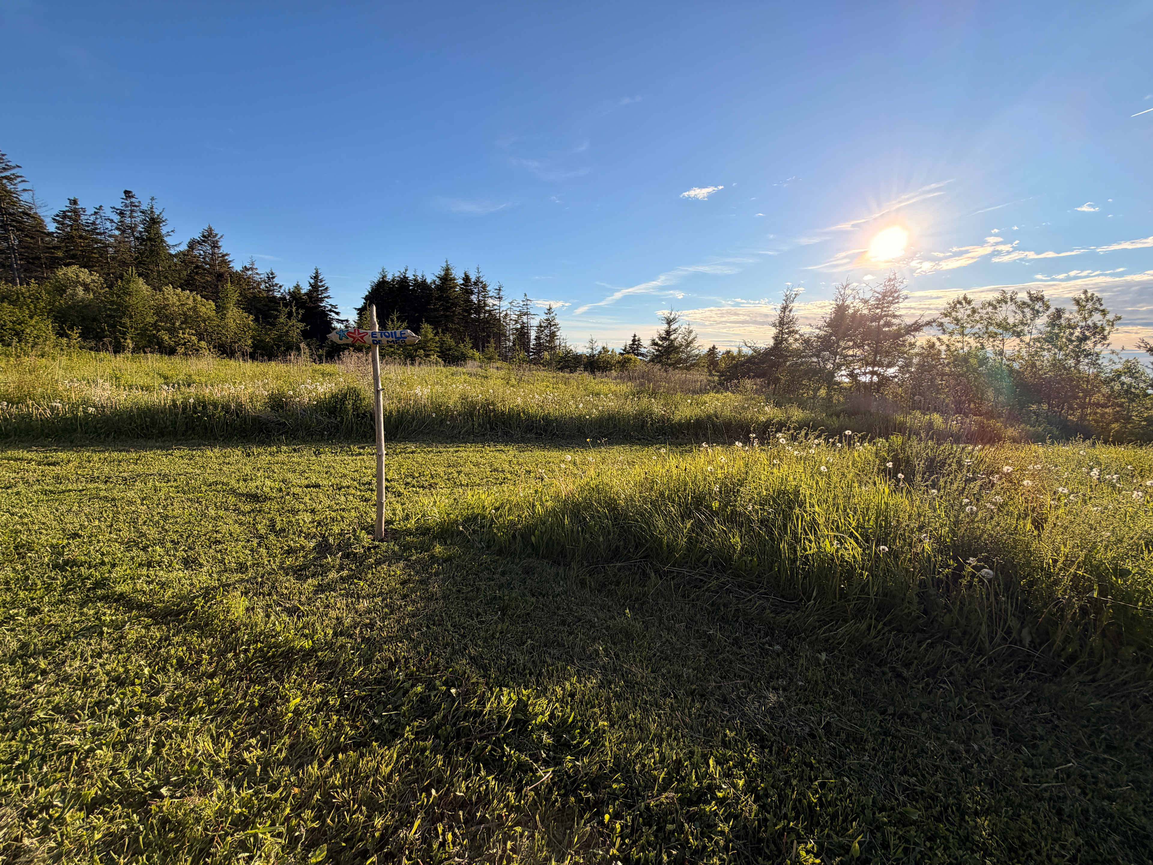 Picture of the site